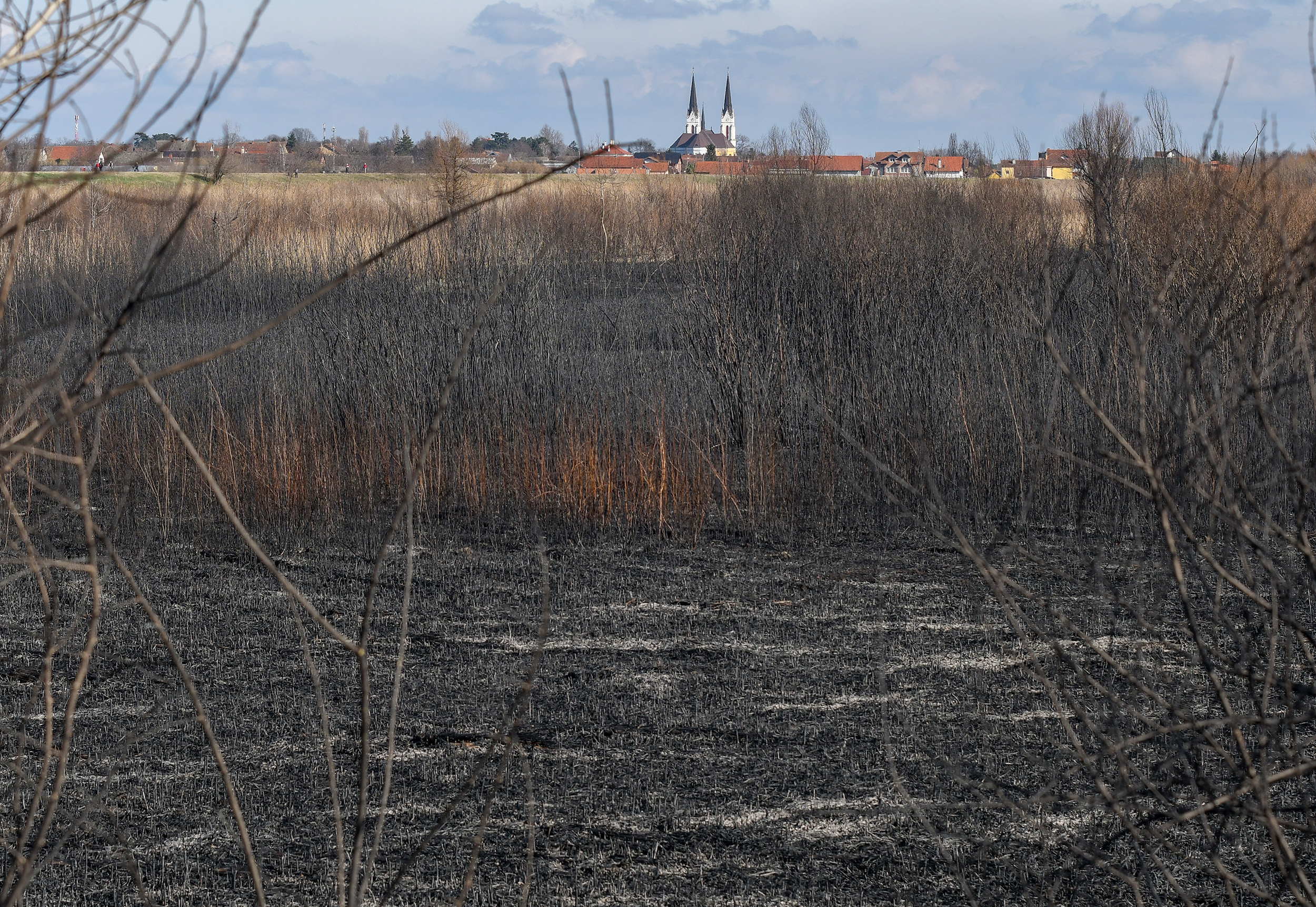 Novi Sad124 Stari ribnjak Futog posle pozara