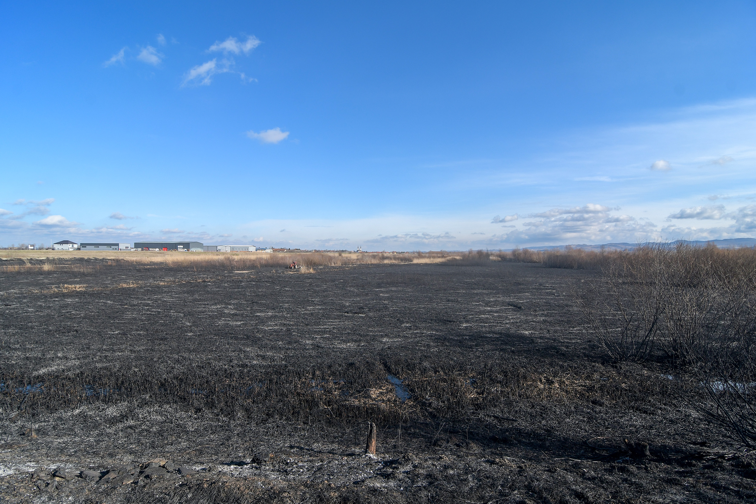 Novi Sad127 Stari ribnjak Futog posle pozara