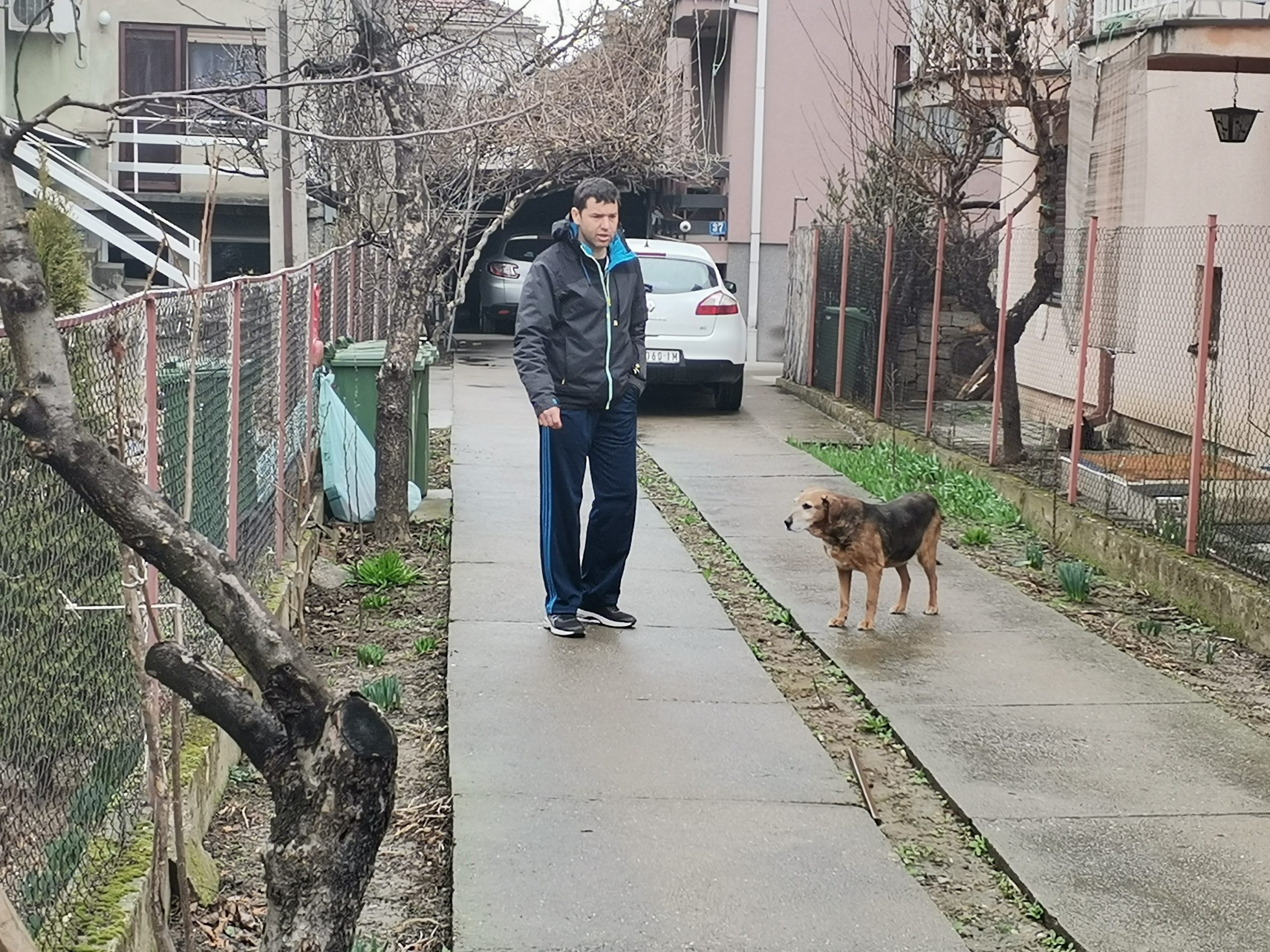 dragana kocić Kuća Nedeljkovića