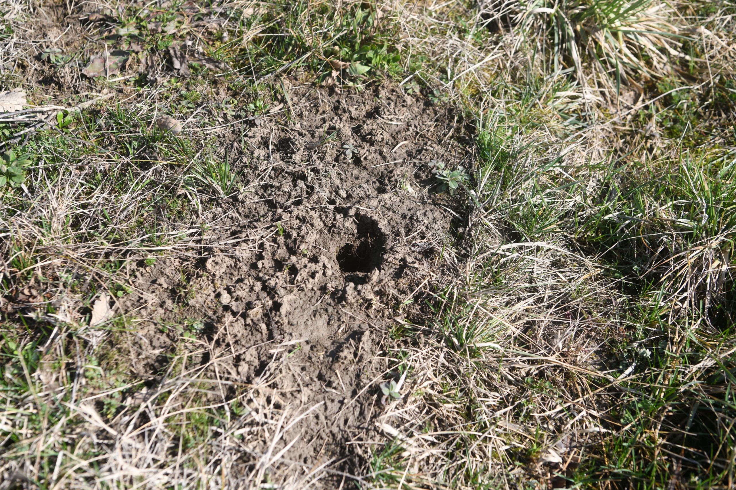 Rožanci, Barajevo 21.02.2022. Mesto na kojem Zi Djin navodno vrsi neka istrazivanja. Foto: Filip Krainčanić/Nova.rs