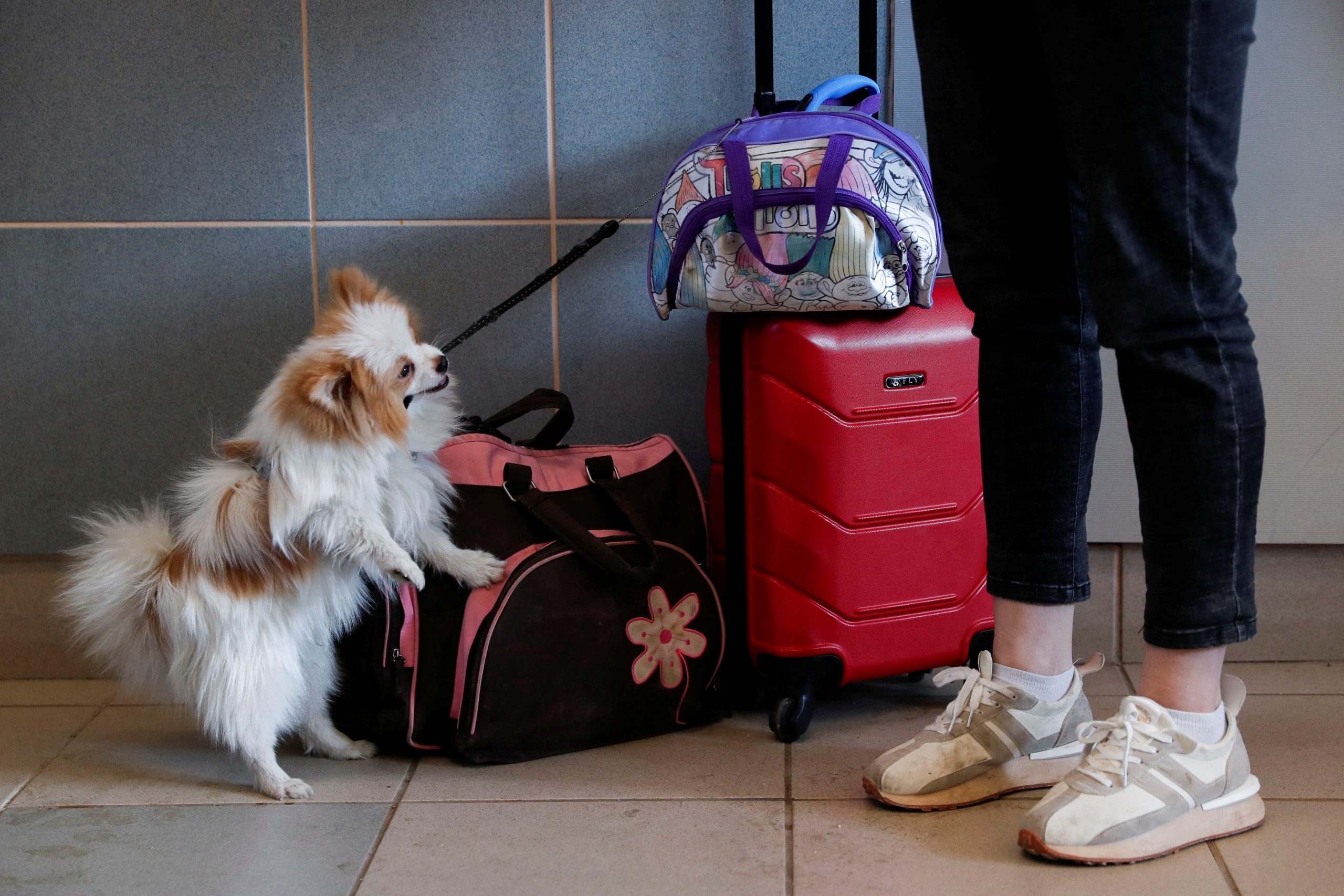 A person fleeing Russia's invasion of Ukraine stands with a dog at the train station in Zahony, Hungary March 4, 2022. REUTERS/Bernadett Szabo