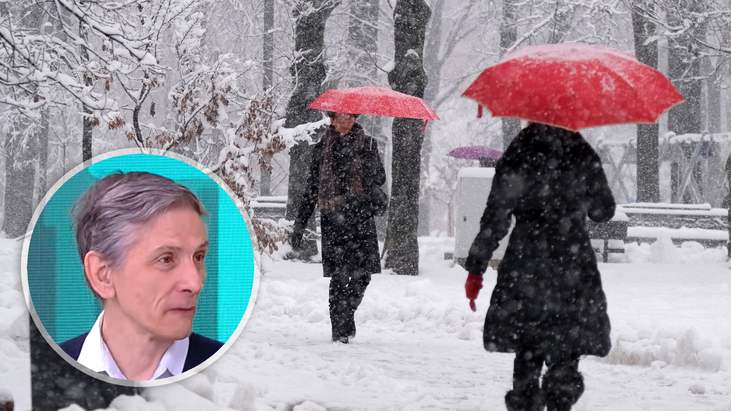 Sneg u Beogradu Foto:Dimitrije Mitić/Nova.rs