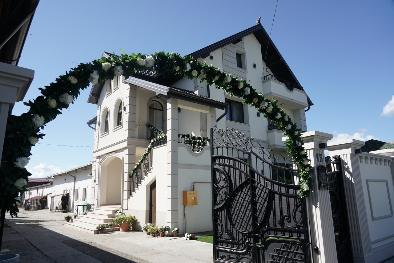 bojana rodic sijan kocija fijaker