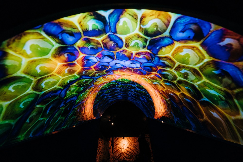 Doček 2022 Vreme i Vaseljena foto V. Veličković