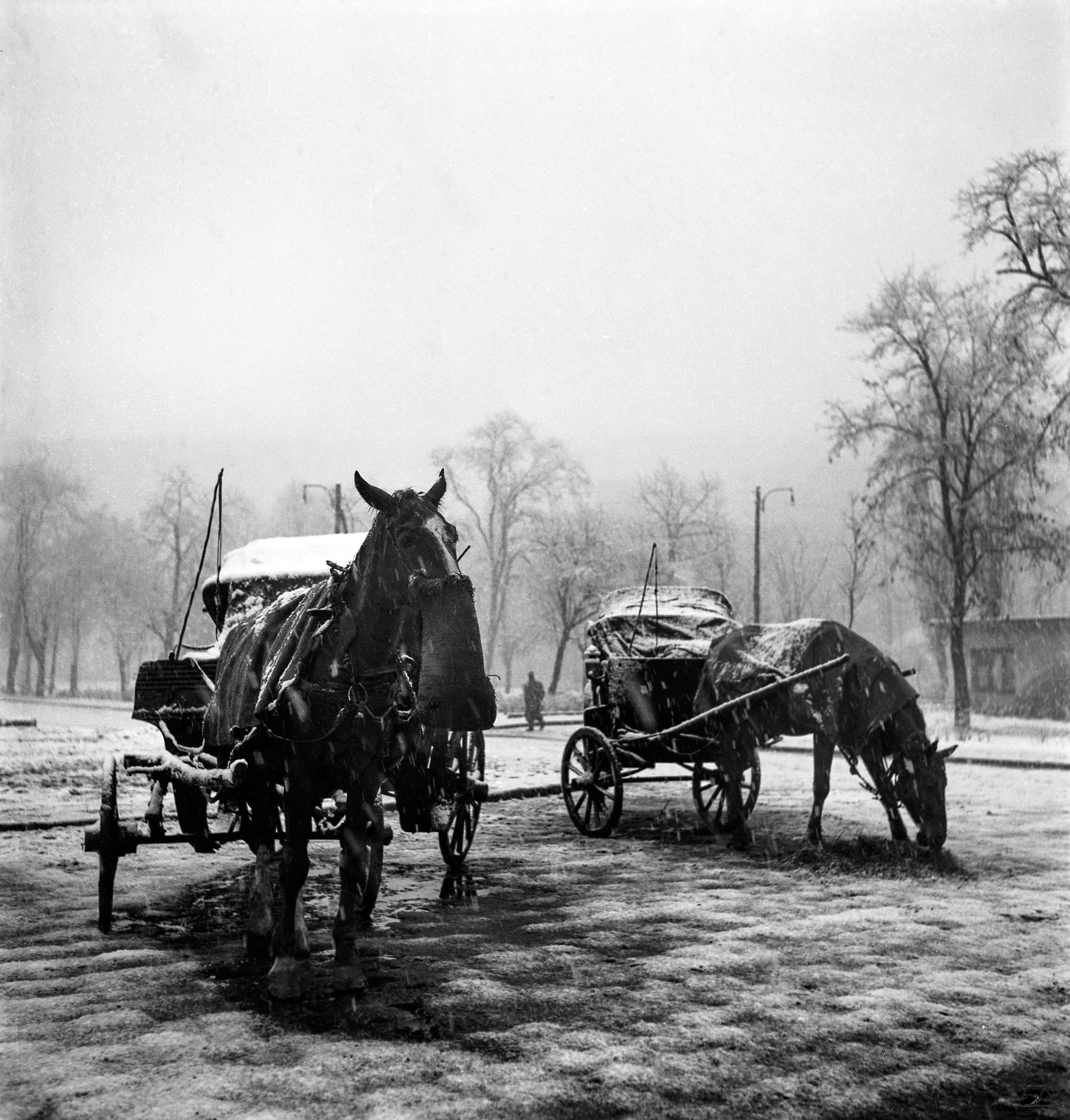 Branibor Debeljković, Fijakeri, oko 1950. vl. Dušan Debeljković
Fotografije poslala Milena Marković