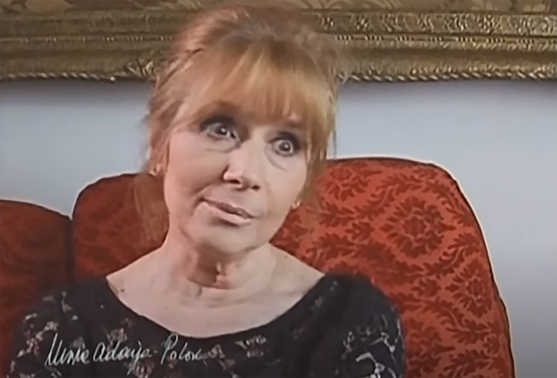 Vesna Malohodzic 3 foto printscreenyoutubemira adanja polak