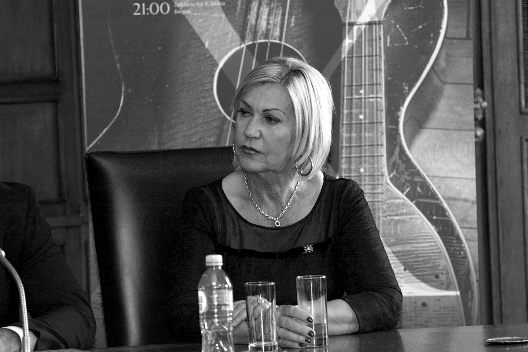 a_concert_of_famous_musical_ar__95502__photo_E-Stock_konstantin_bacetic