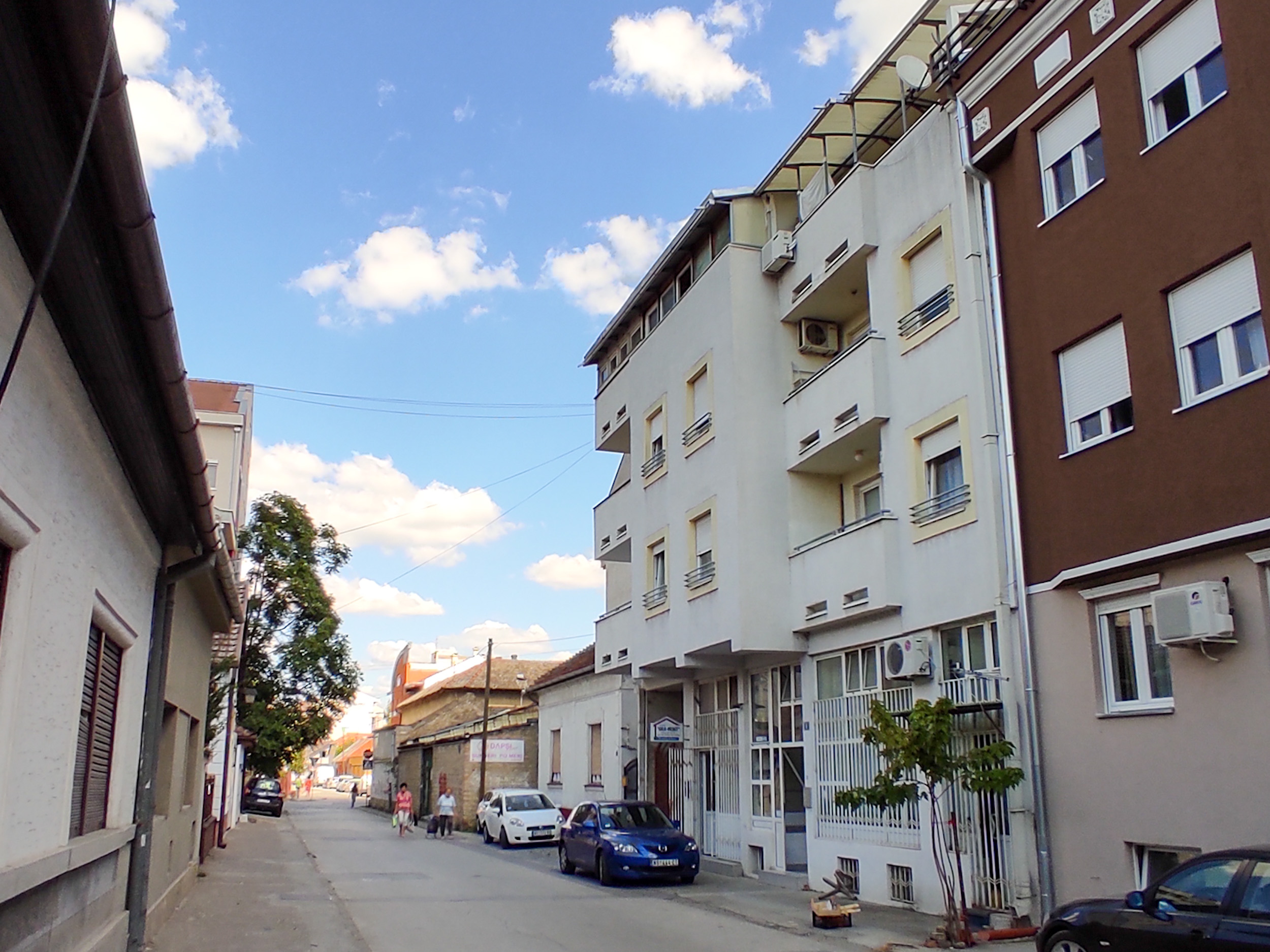 Novi Sad_Tekelijina ulica zgrada gde zivi Dusko Kornjaca -44