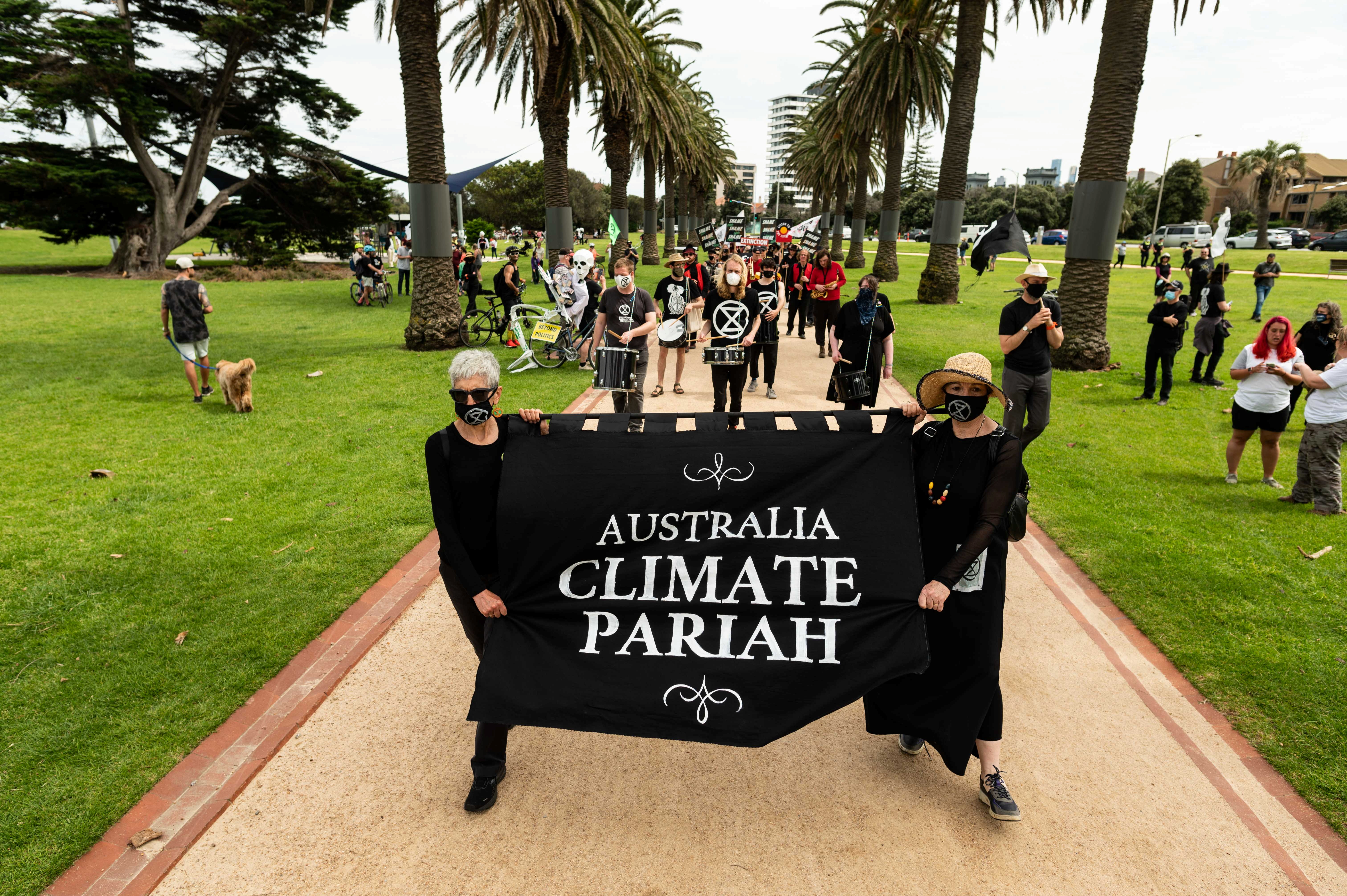 Extinction Rebellion activists hold a koala funeral in Melbourne