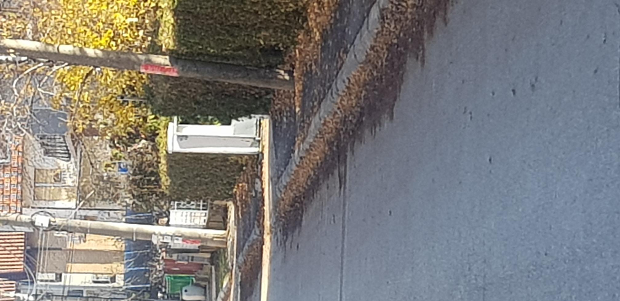 Gutenbergova 6 - Niš - opština Pantelej - ispred zgrade opštine Pantelej - D