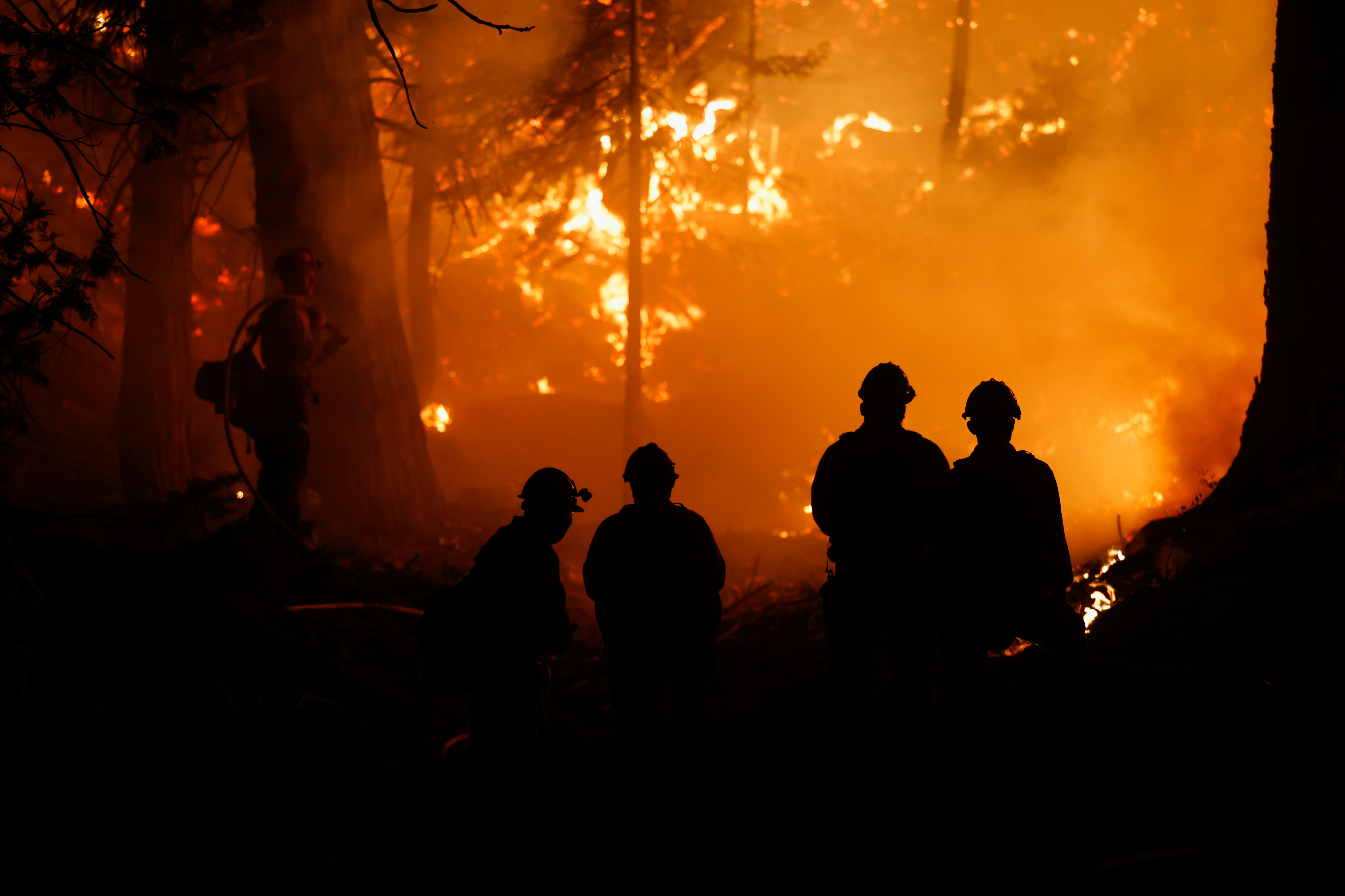 Firefighters manage backfires to protect structures from Caldor Fire, in Strawberry, California, U.S., August 28, 2021. REUTERS/Fred Greaves