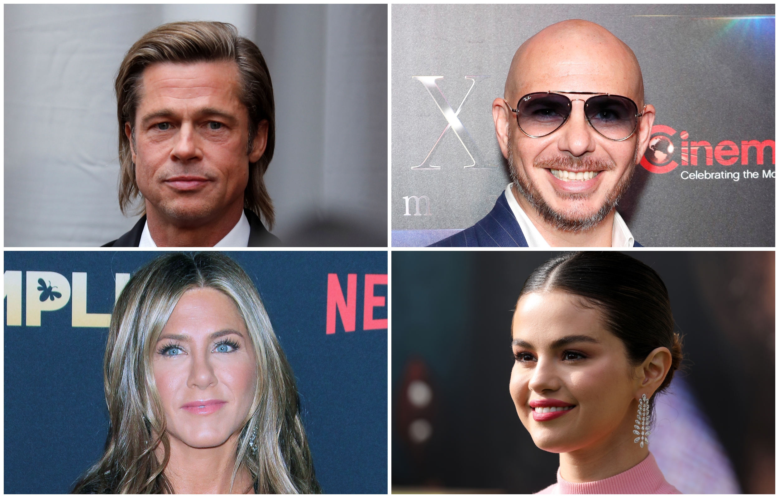 collage bred pi pitbul dznifer aniston selena gomez