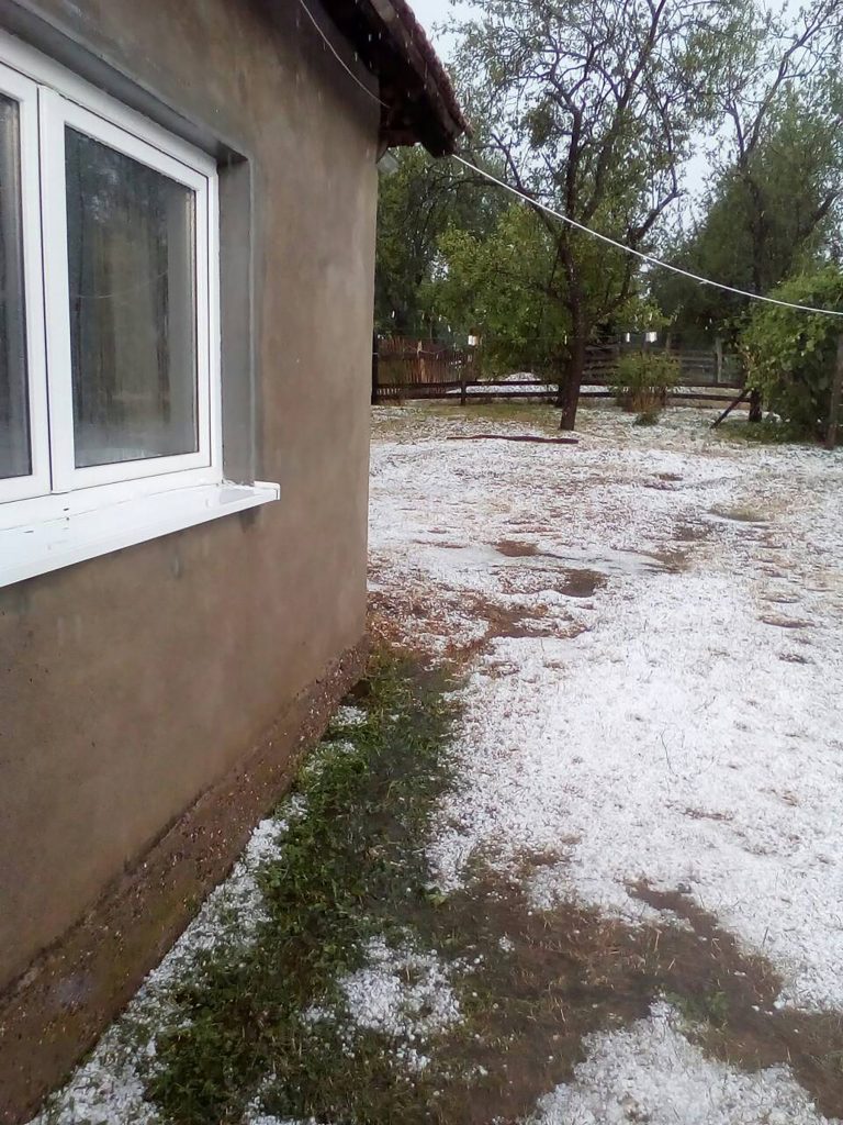 čačak Voćari očajni - Šteta od grada ogromna, a ministarstvo zastupa interese uvozničkog lobija Rade Nikitović iz sela MIokovci kod Čačka