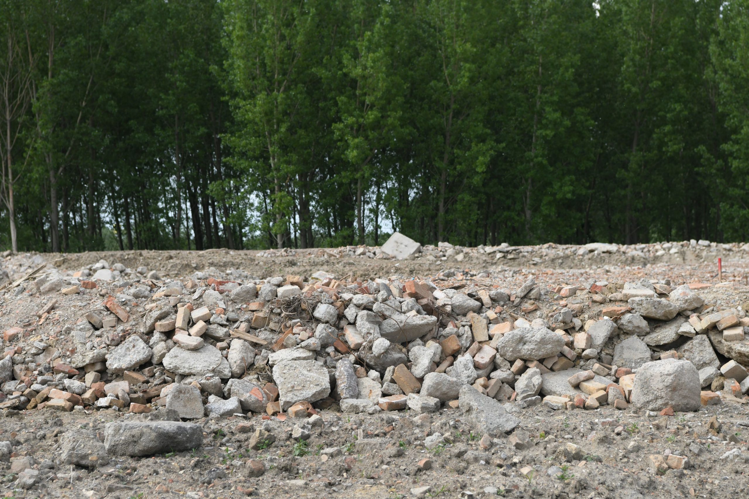 Beograd 27.05.2021. Bara Reva, protest, Foto: Goran Srdanov/Nova.rs