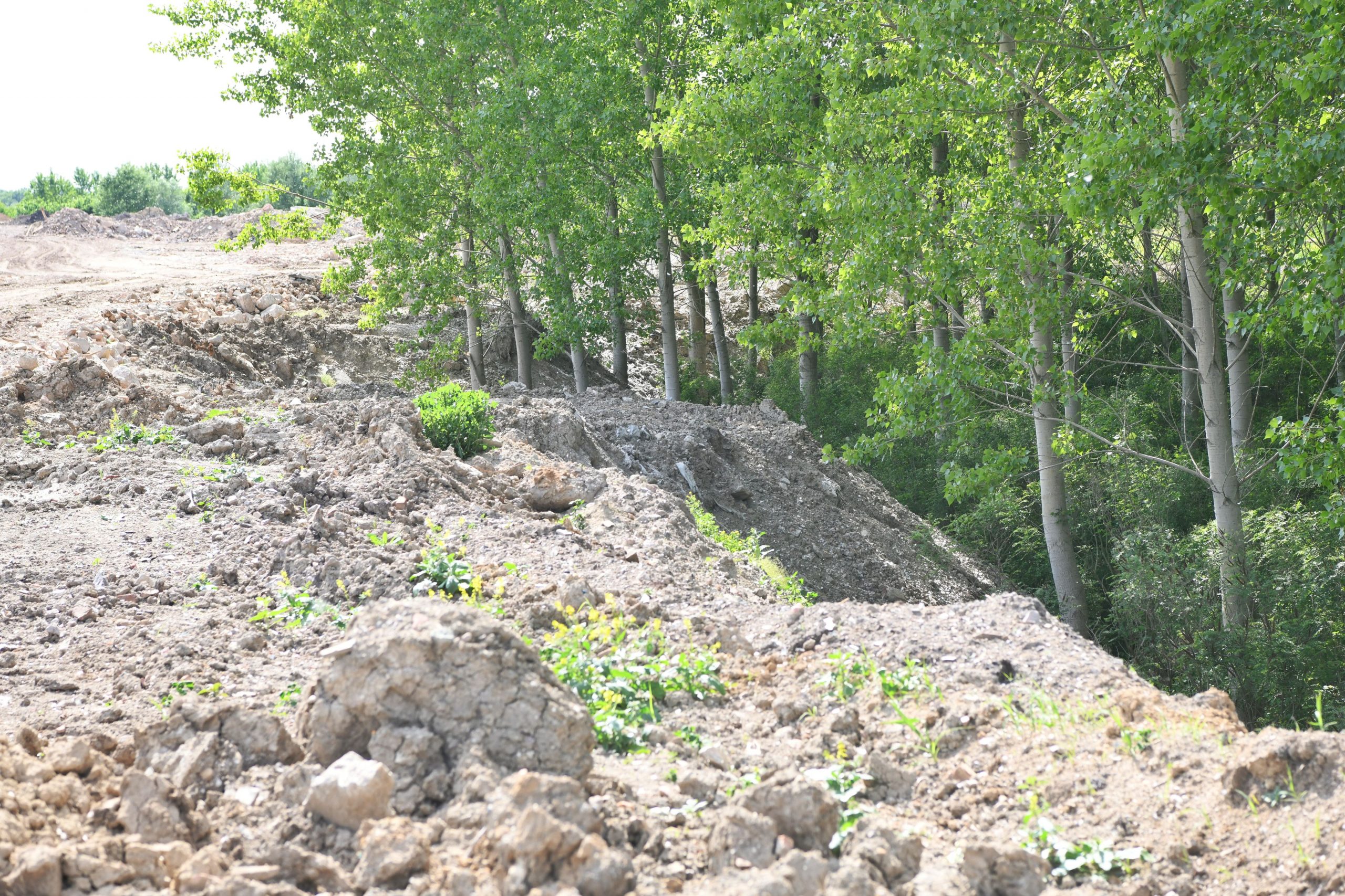Beograd 27.05.2021. Bara Reva, protest, Foto: Goran Srdanov/Nova.rs
