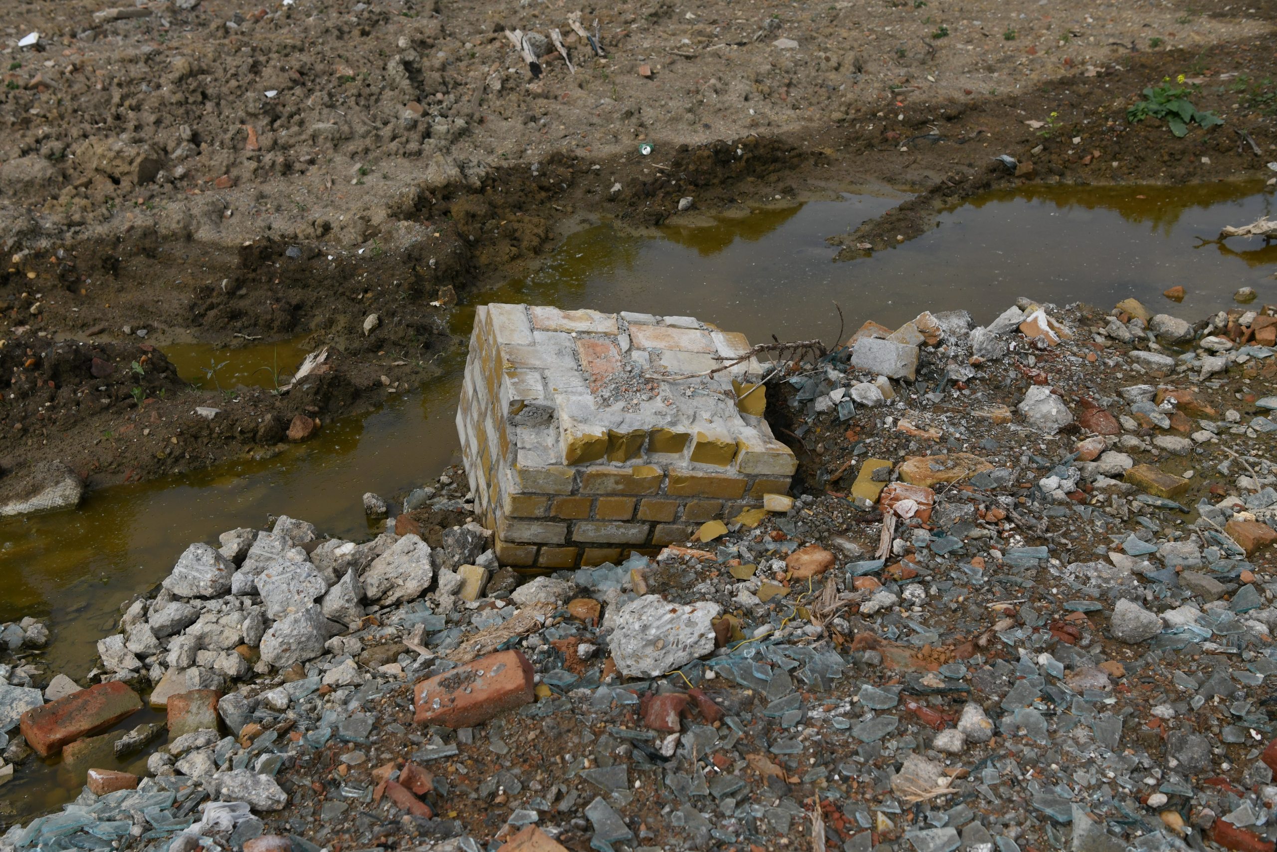 Beograd 27.05.2021. Bara Reva, protest, Foto: Goran Srdanov/Nova.rs
