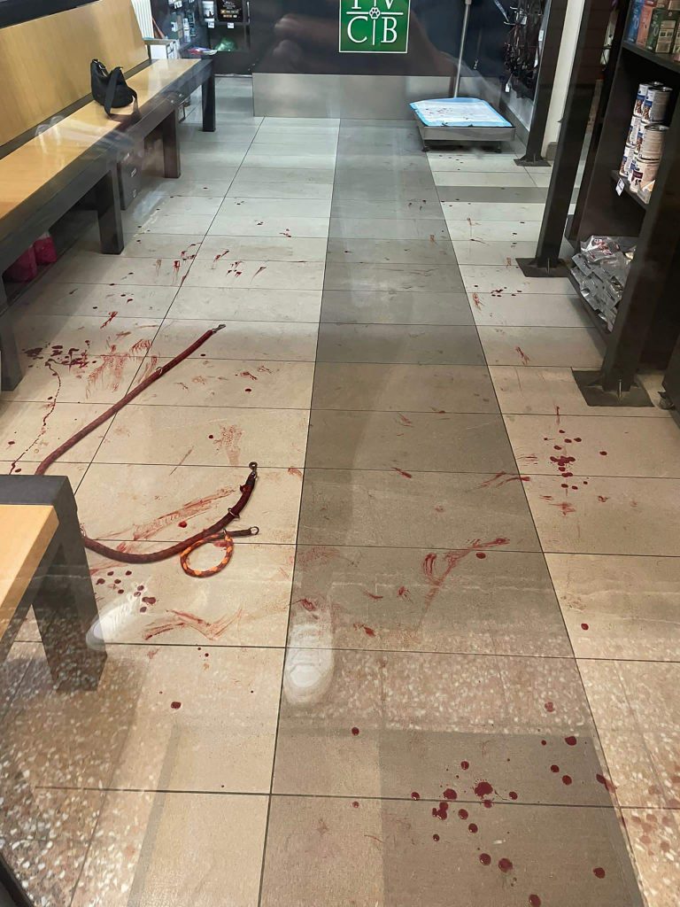 Novi Sad napad psa u veterinarskoj ambulanti
