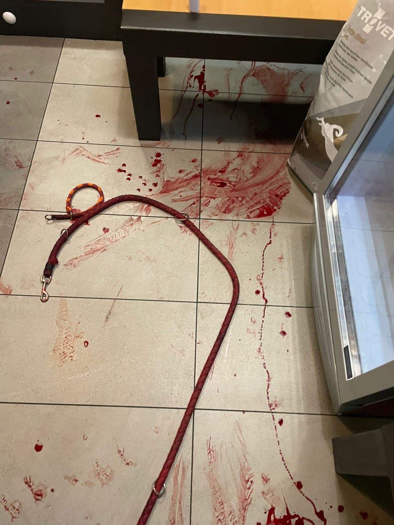 Novi Sad napad psa u veterinarskoj ambulanti