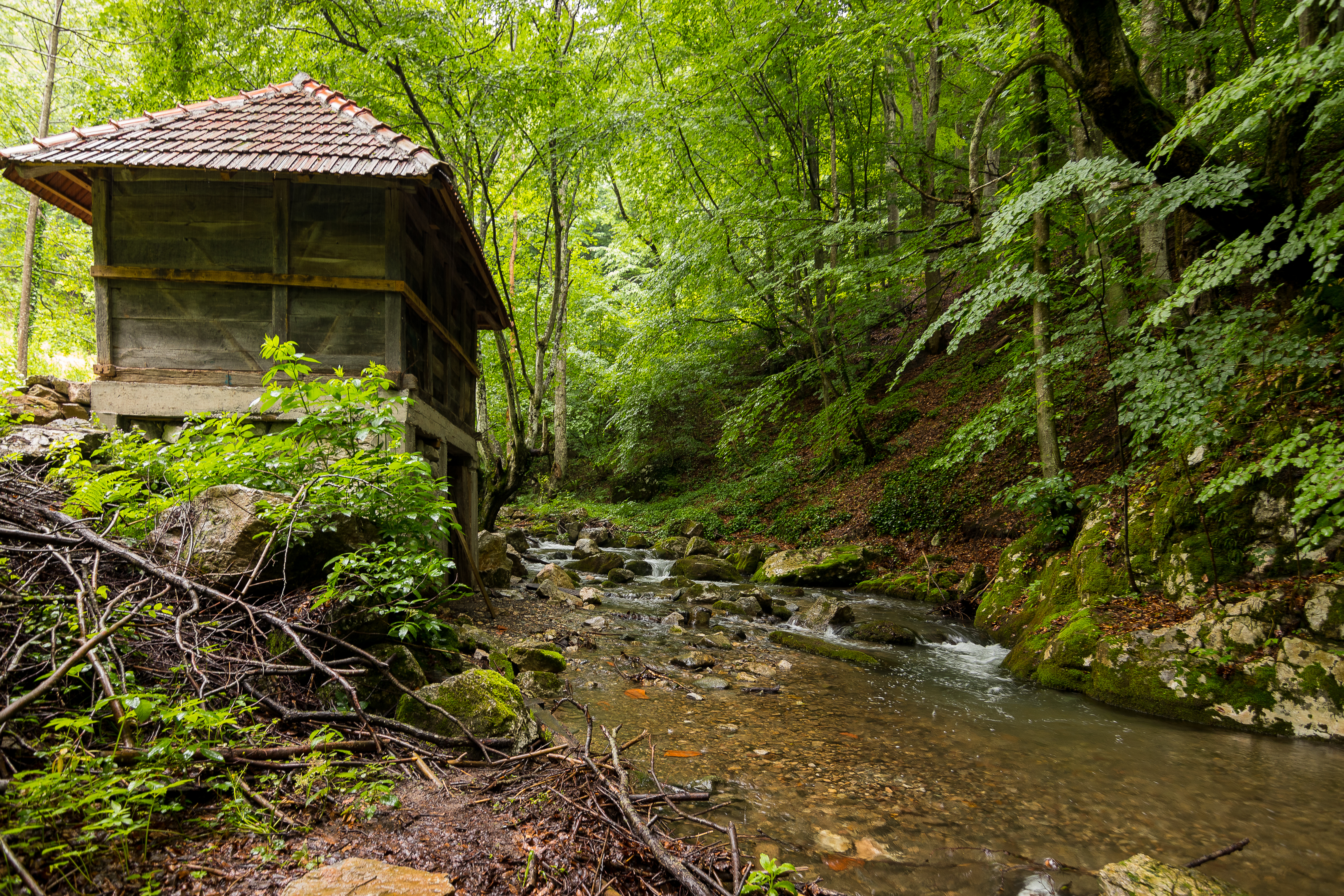 The,Water,Mill,Of,Serbian,Vampire,Sava,Savanovic