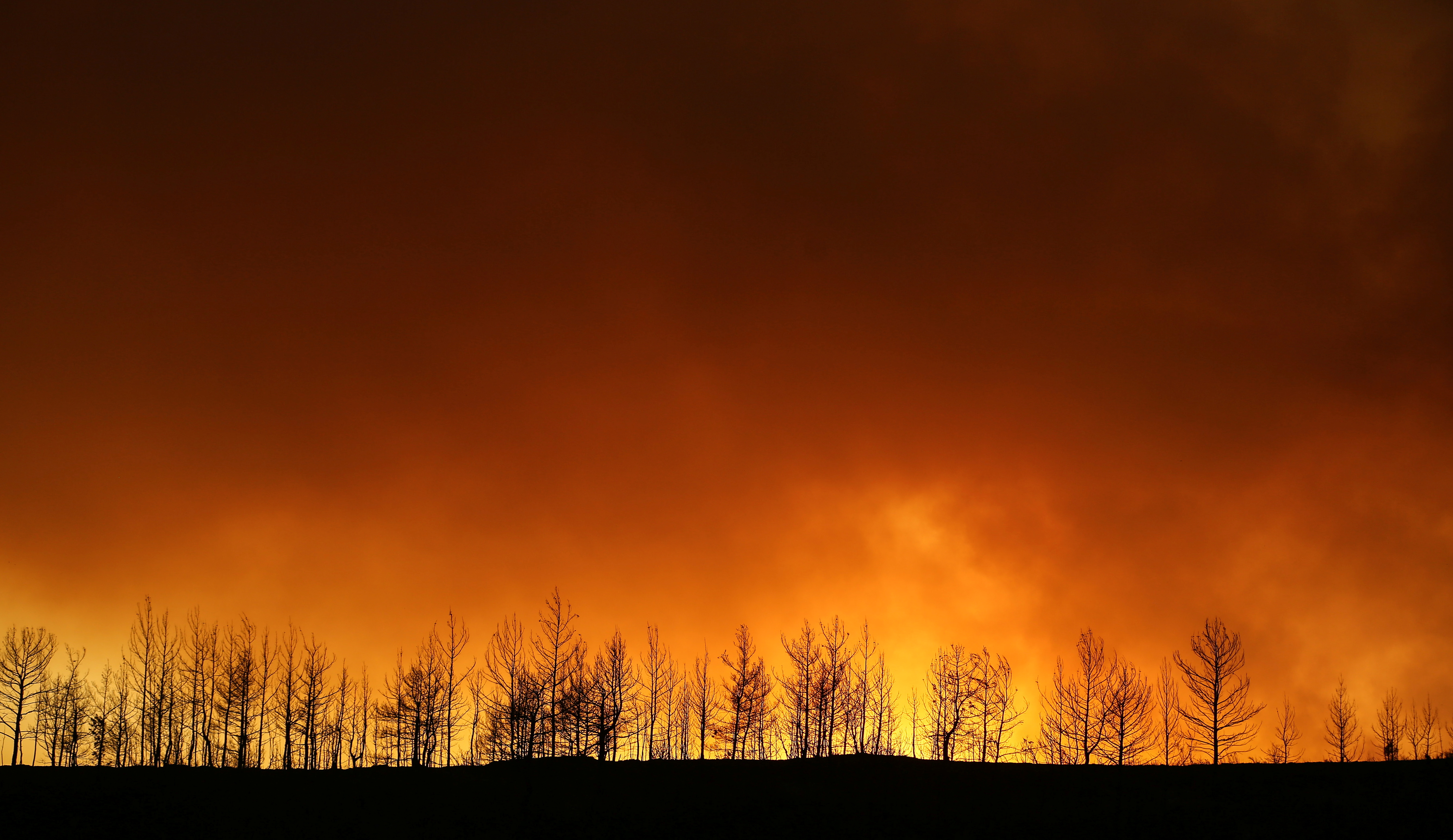 A forest fire burns near the town of Manavgat, east of the resort city of Antalya, Turkey, July 29, 2021. REUTERS/Kaan Soyturk