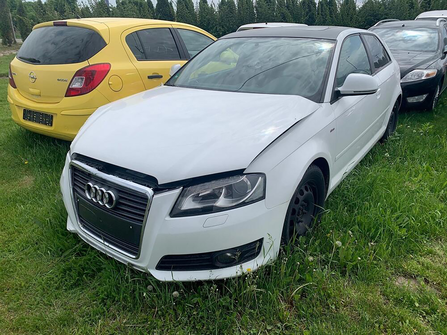 33 neocarinjena automobila drežde na livadi