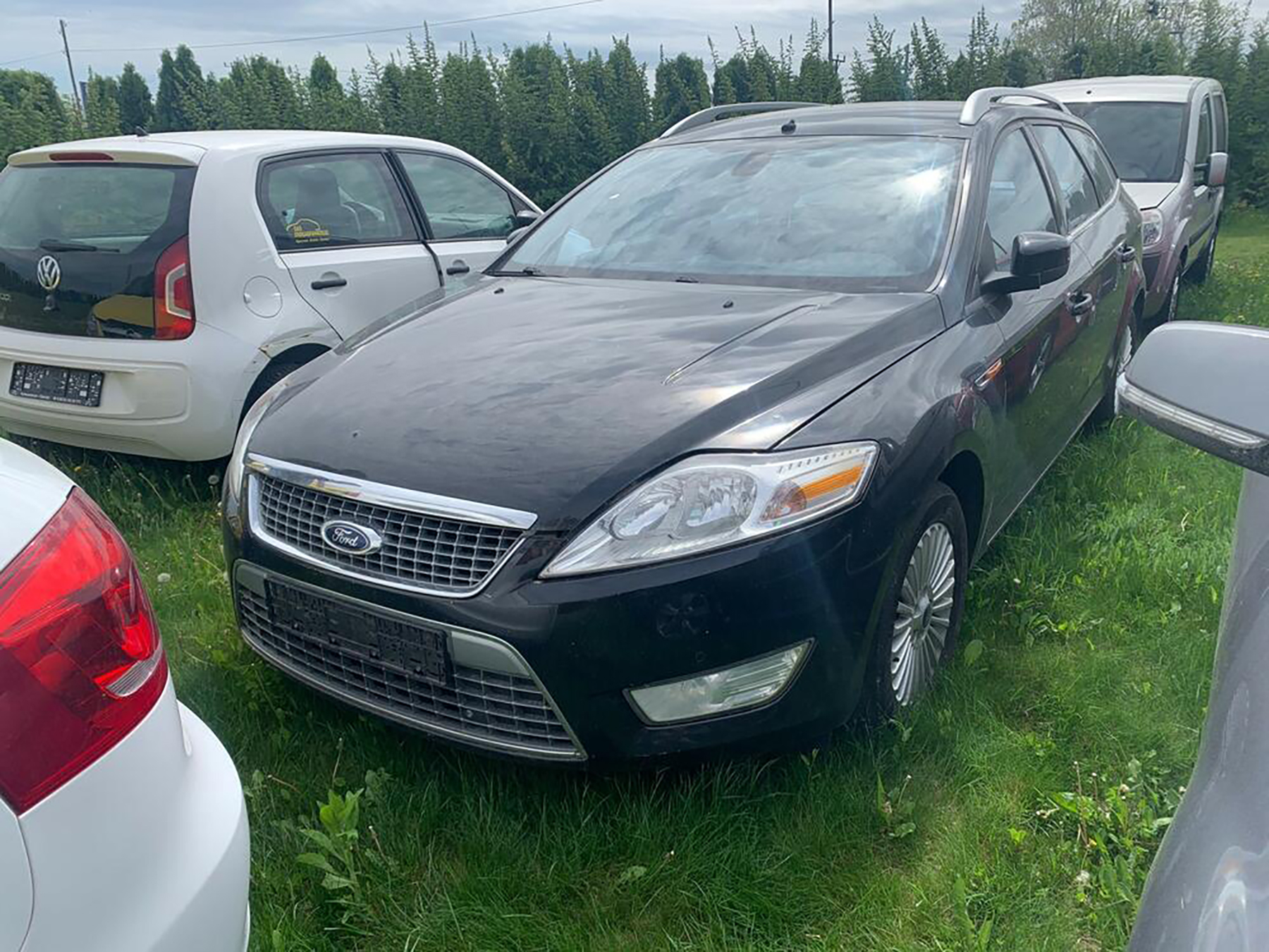 33 neocarinjena automobila drežde na livadi
