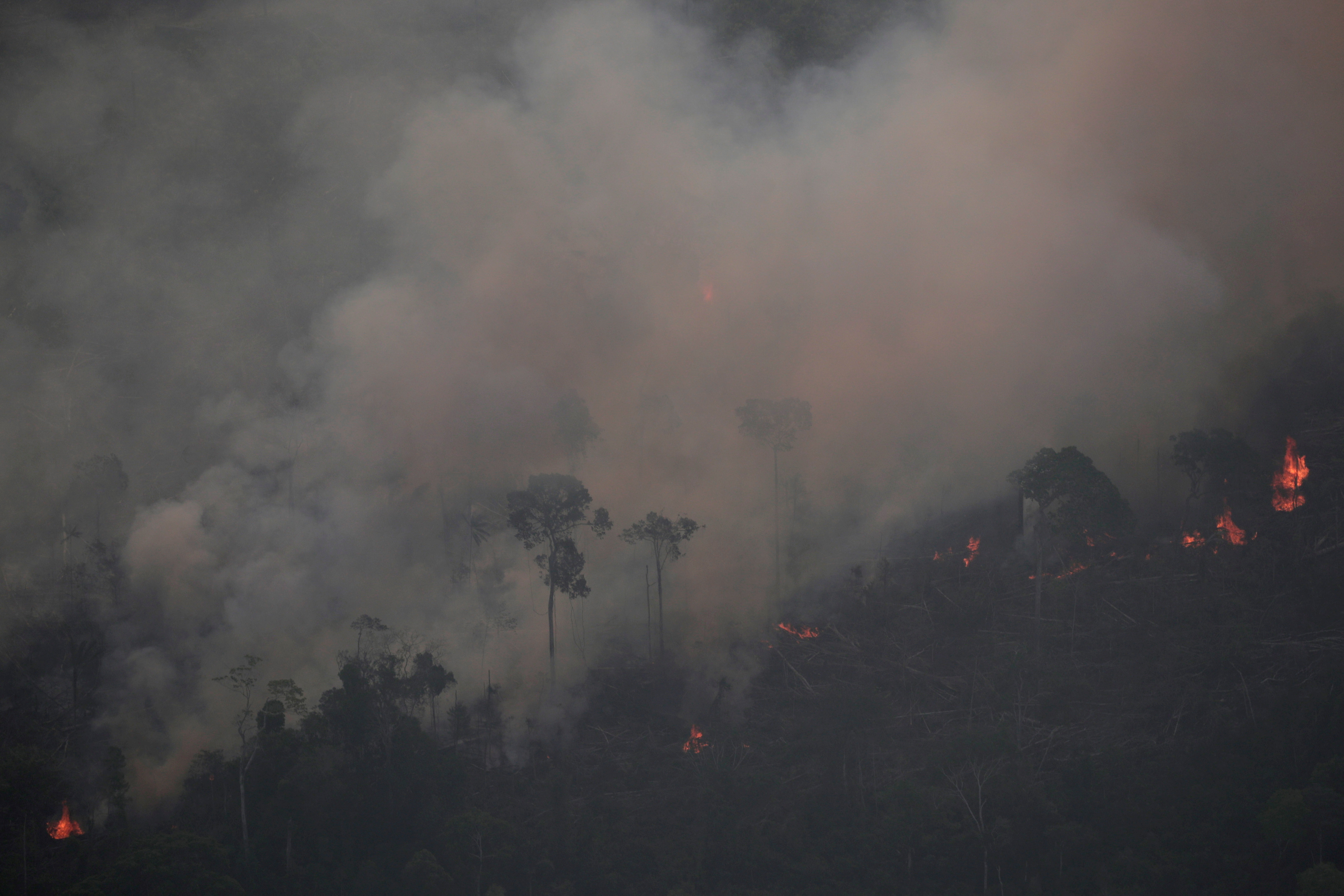 FILE PHOTO: Smoke billows during a fire in an area of the Amazon rainforest near Porto Velho, Rondonia State, Brazil, Brazil August 21, 2019. REUTERS/Ueslei Marcelino/File Photo