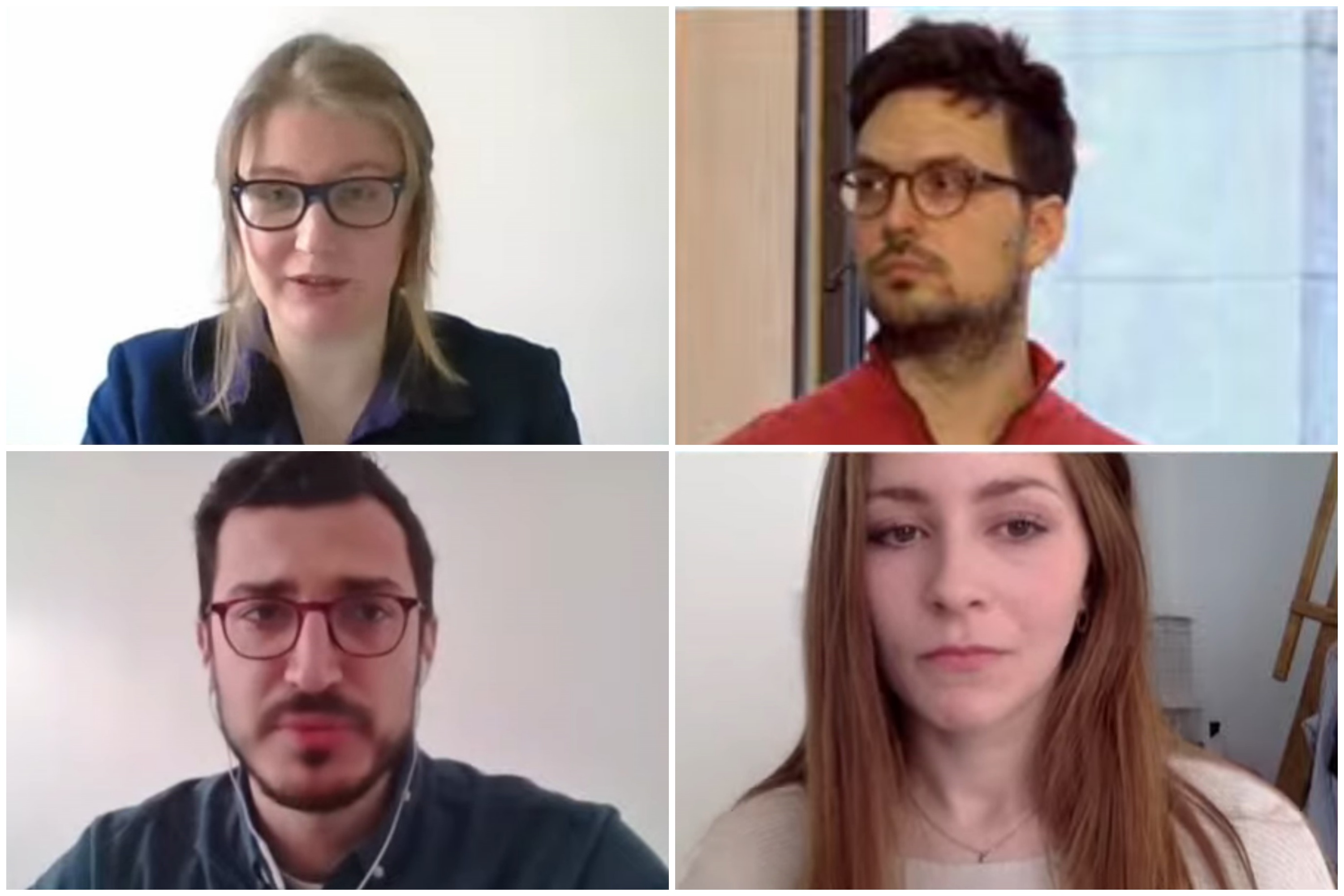 Konferencija kombo Foto: Printscreen/YouTube/Evropski pokret u Srbiji