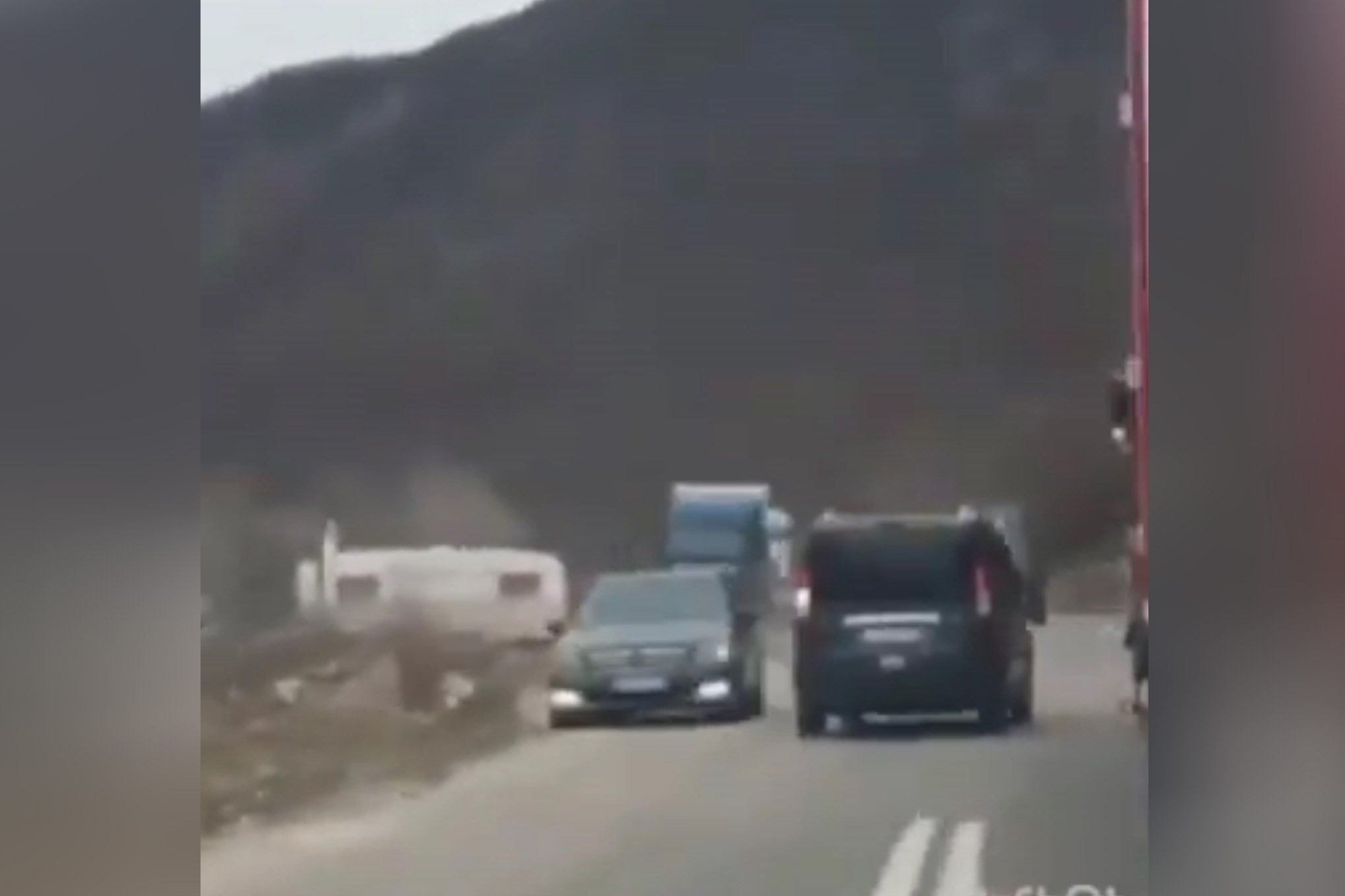 Novi Pazar, preticanje Foto: Printscreen/Twitter/Dentistolog/@dentistolog