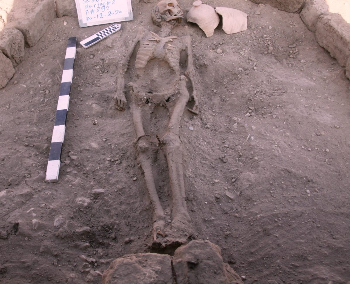 2021-04-08T164726Z_652578192_RC2SRM9MGB20_RTRMADP_3_EGYPT-ANTIQUITIES-1200x975.jpg