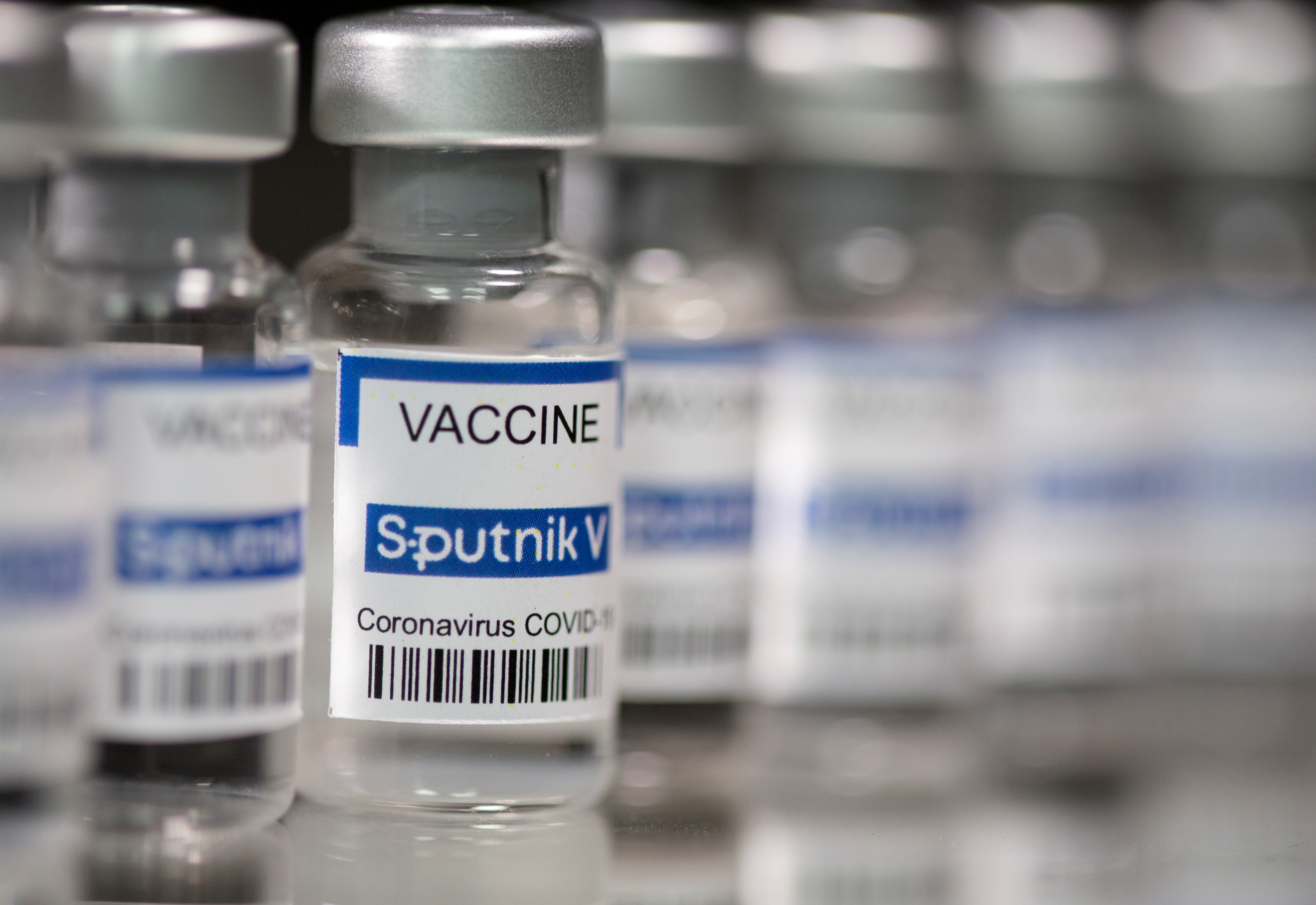 Vials labelled "Sputnik V Coronavirus COVID-19 Vaccine" are seen in this illustration photo taken March 12, 2021. REUTERS/Dado Ruvic/Illustration