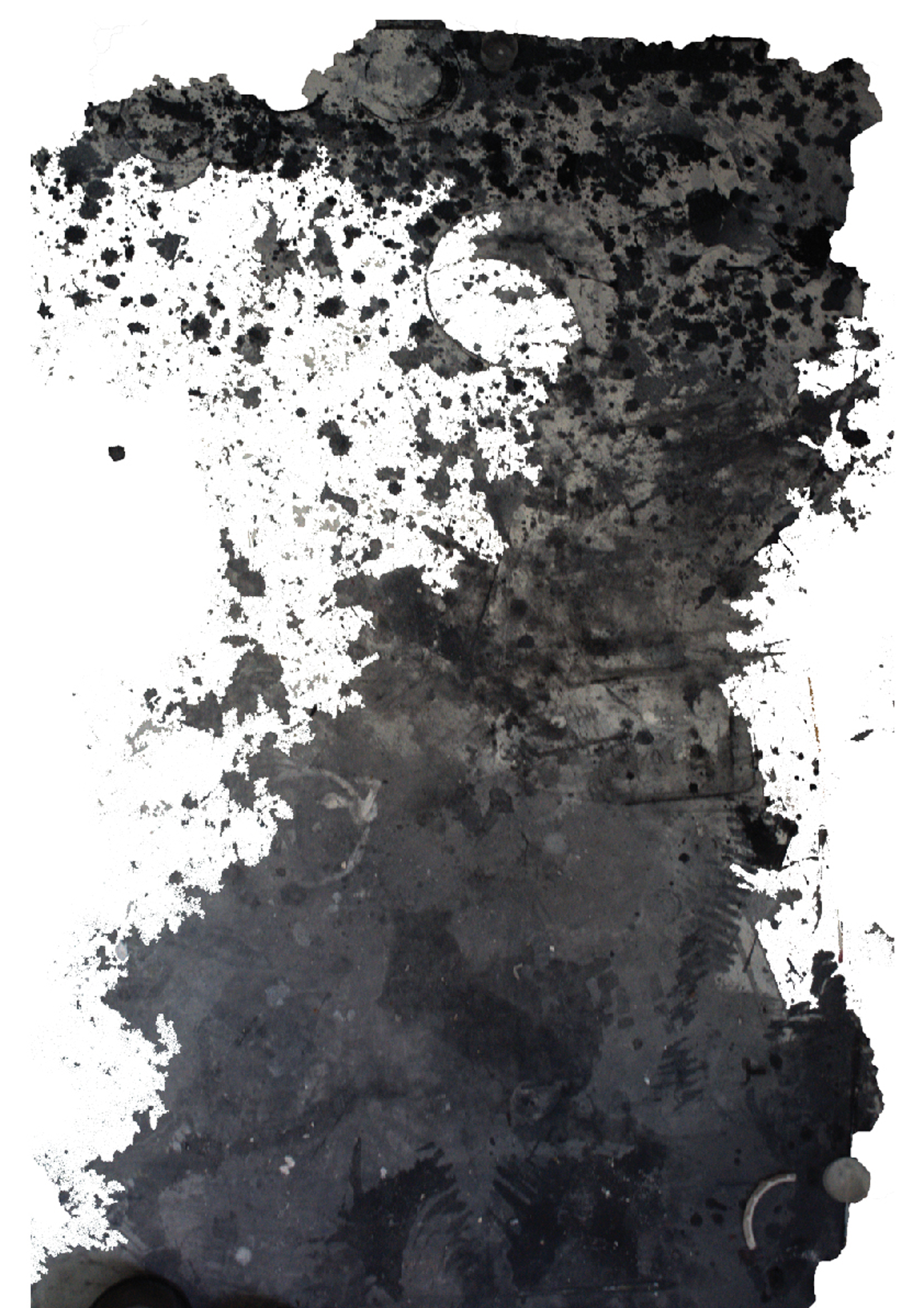 Милица Поповић, Без назива ( Траг 2), едитована фотографија, димензије промељиве, 2020_