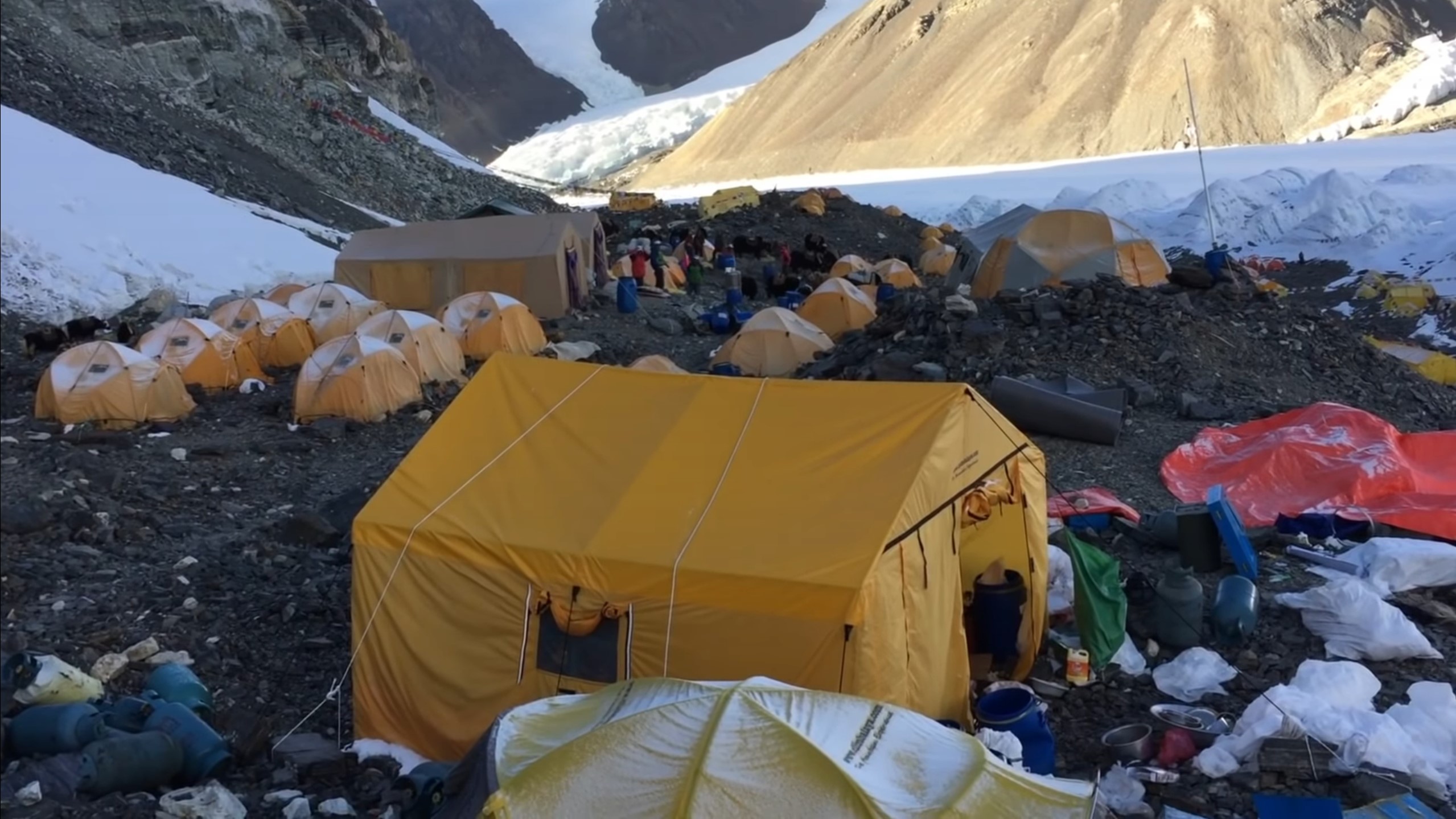 ciscenje foto PrintscreenYouTube Fondation Yves Rocher (6)