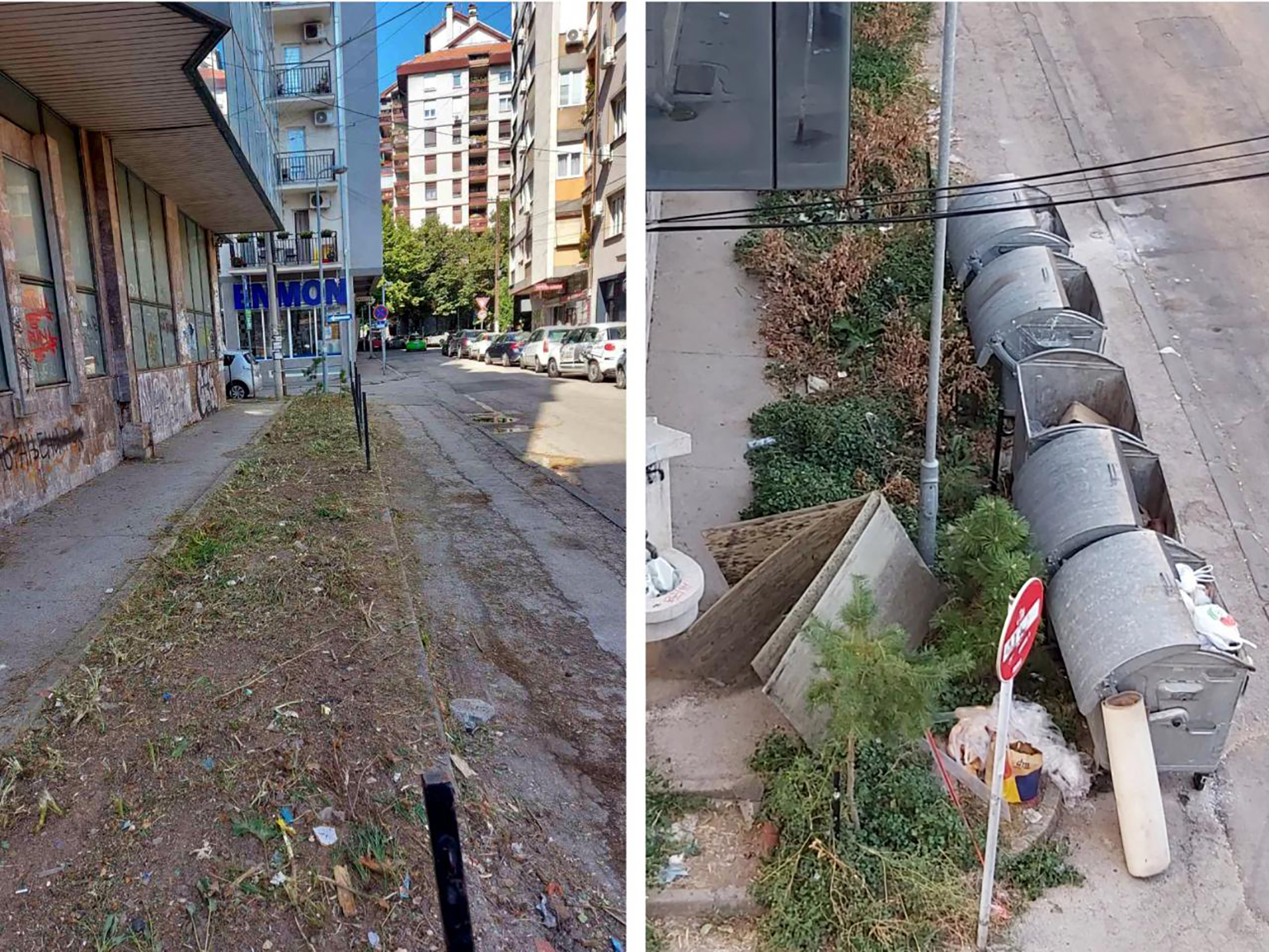 Đubre, djubre, smeće, korov, rastinje, nepokošena trava Foto: JKP Mediana/Čitalac/Južne vesti