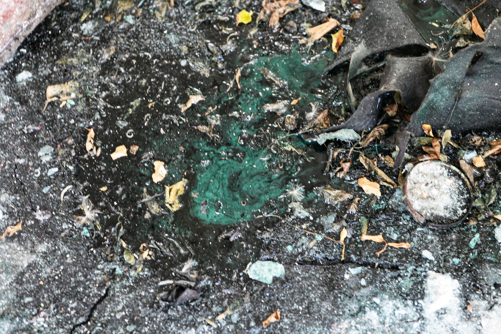 fabrika gluten otrovni materijal zagadjenje_0808020_foto Vesna Lalić Nova.rs (59)