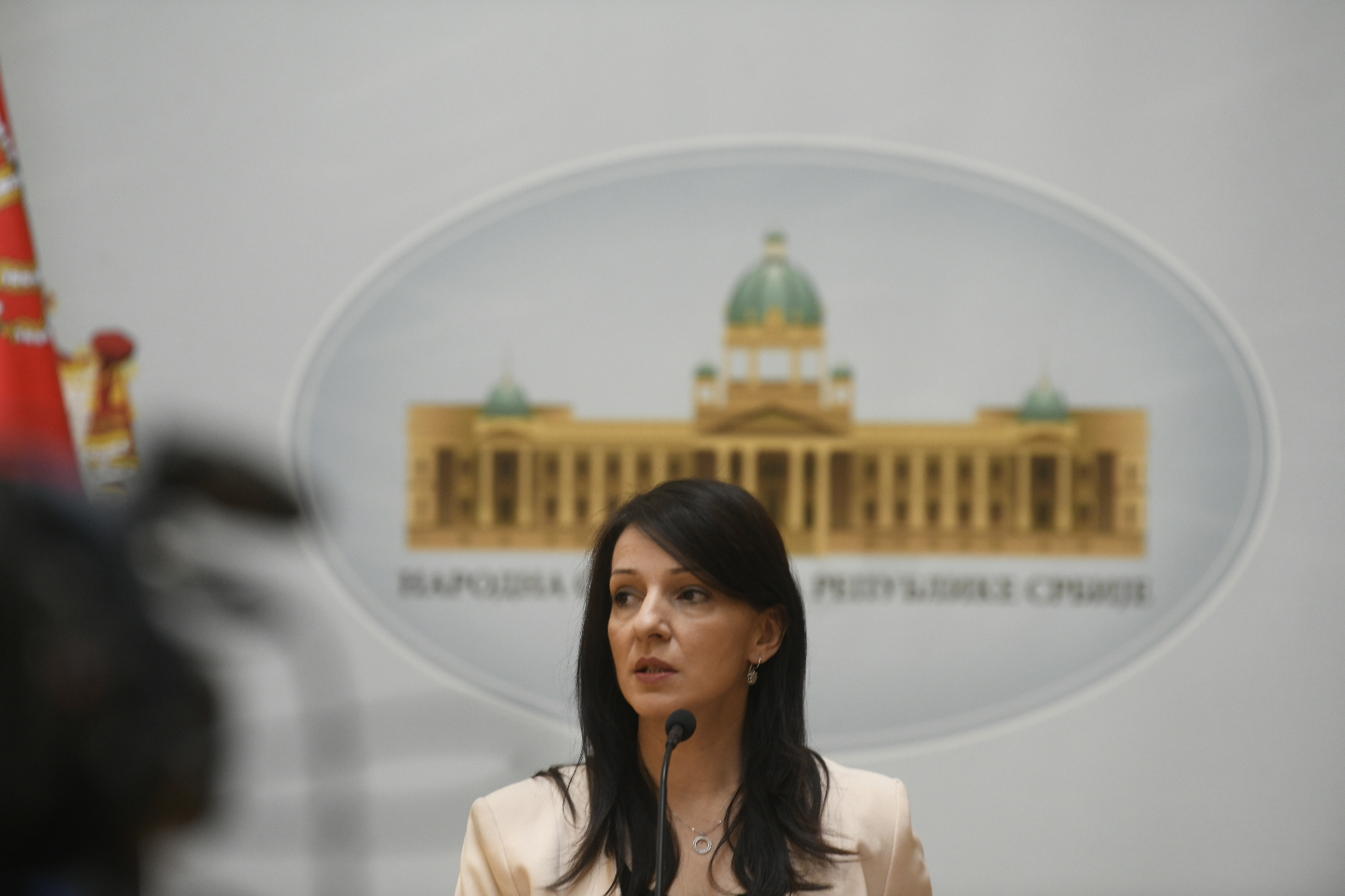 Beograd 28.04.2020. Marinika Tepić, Skupština Srbije, Parlamnet Srbije, narodni poslanici, početak rada skupštine za vreme vanrednog stanja u toku pandemije koronavirusa Foto:Nemanja Jovanović/Nova.rs