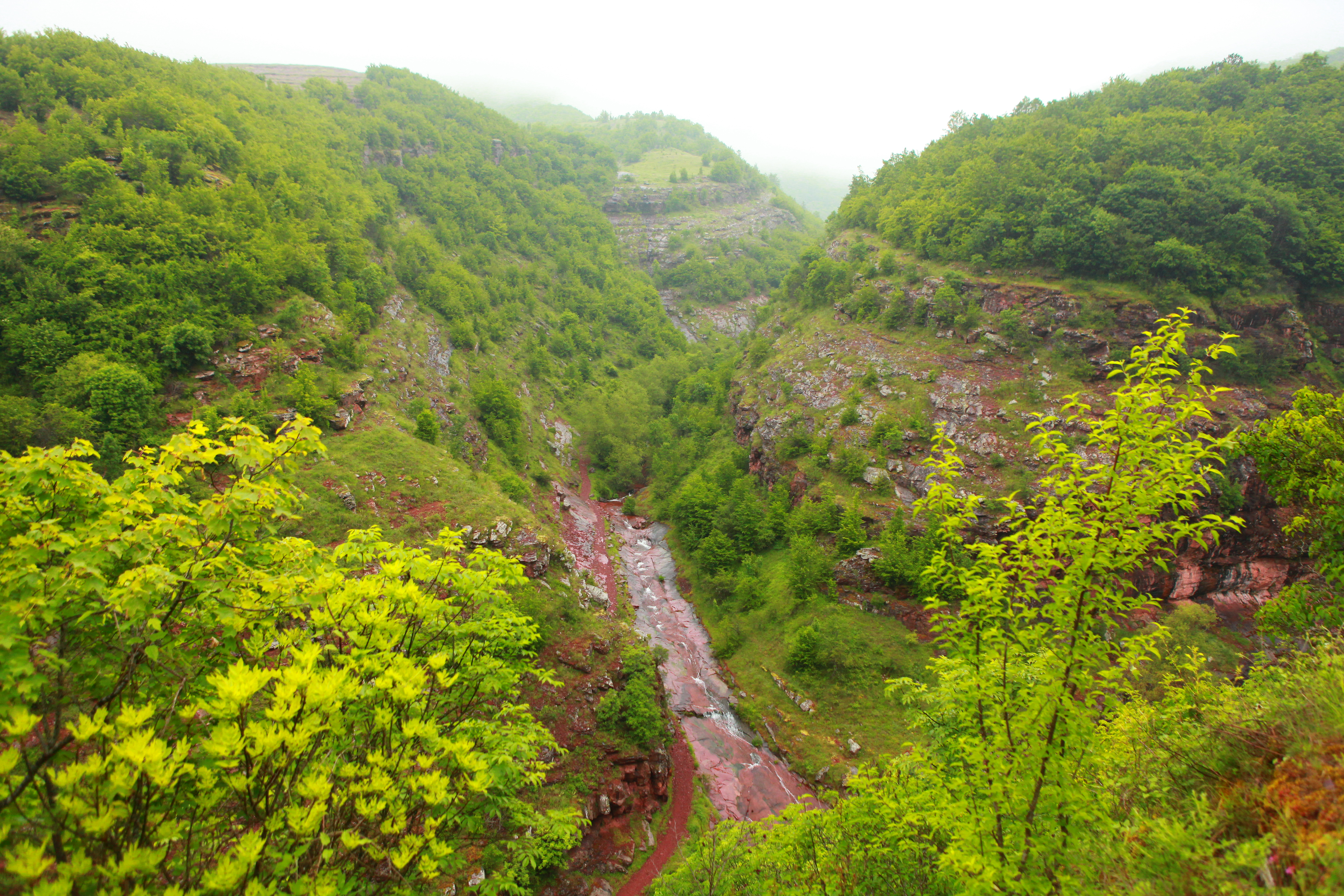 Knjaževac, Stara planina  31.05.2014. Reportaža, priroda, pejzaž, reka, reke Stare planine Foto: Zoran Lončarević