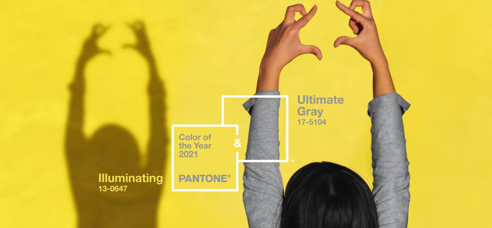 Boja, boje, žuto, žuta Foto: Pantone color institute