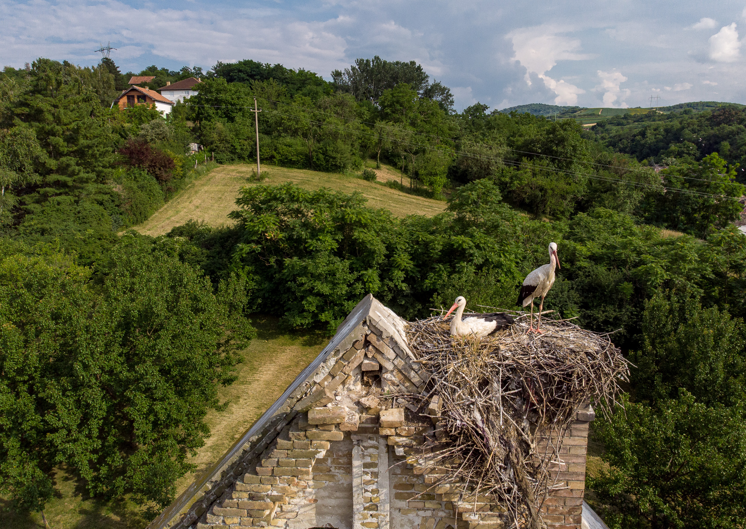 BANOSTOR_RODE NA NAPUSTENOJ NEMACKOJ KATOLICKOJ CRKVI_ 5