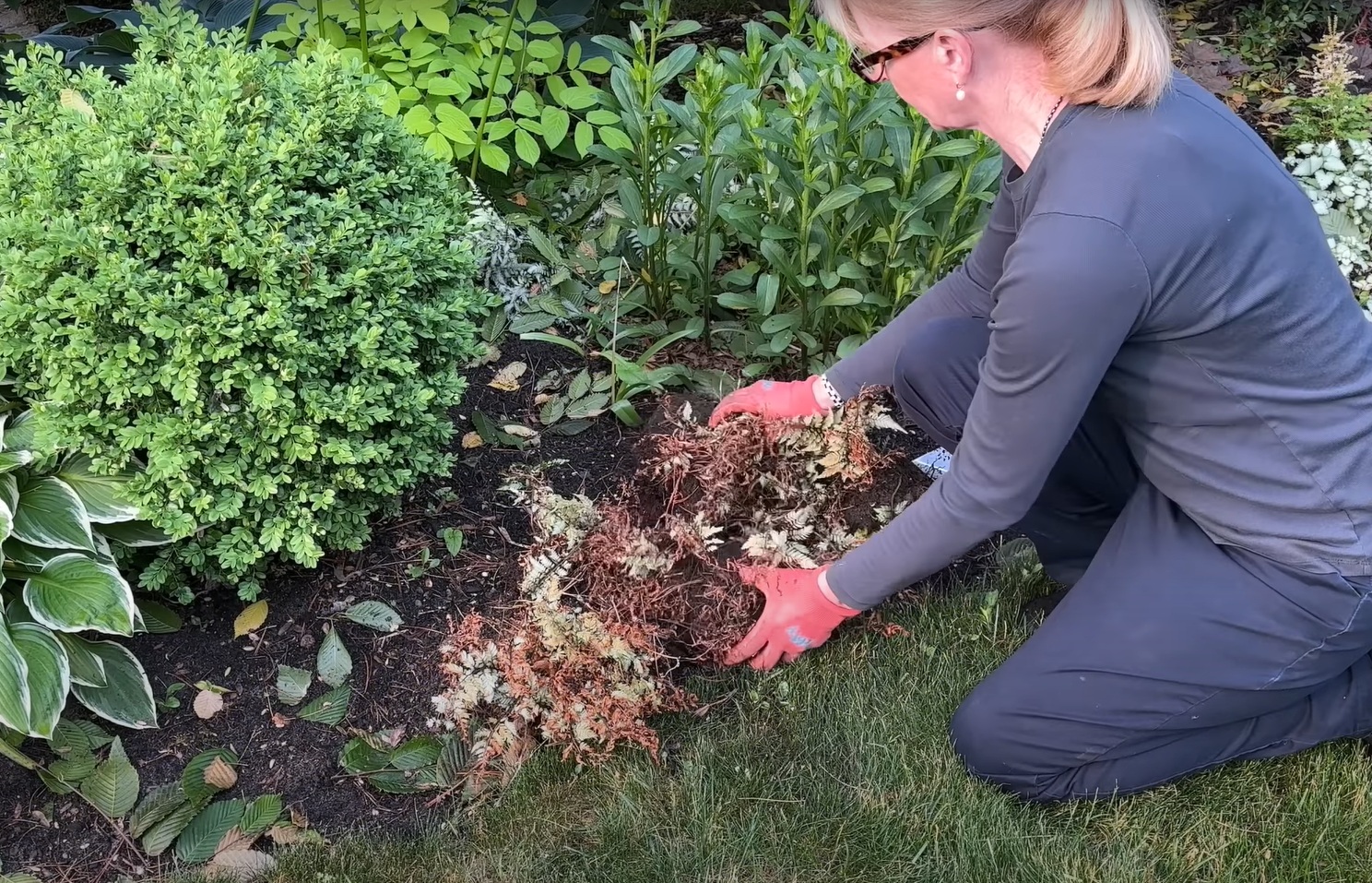 Napravila je baštu iz snova, ali kad je htela da proda kuću počeli su problemi