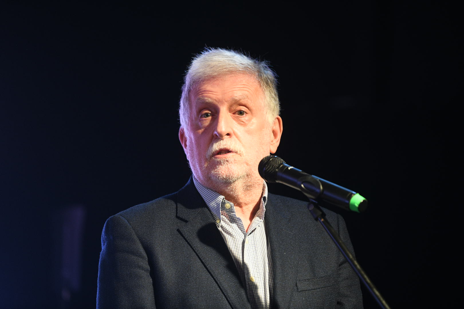 katarina petrović promocija knjige dorćol plac 110226 foto filip krainčanić nova rs (27).JPG