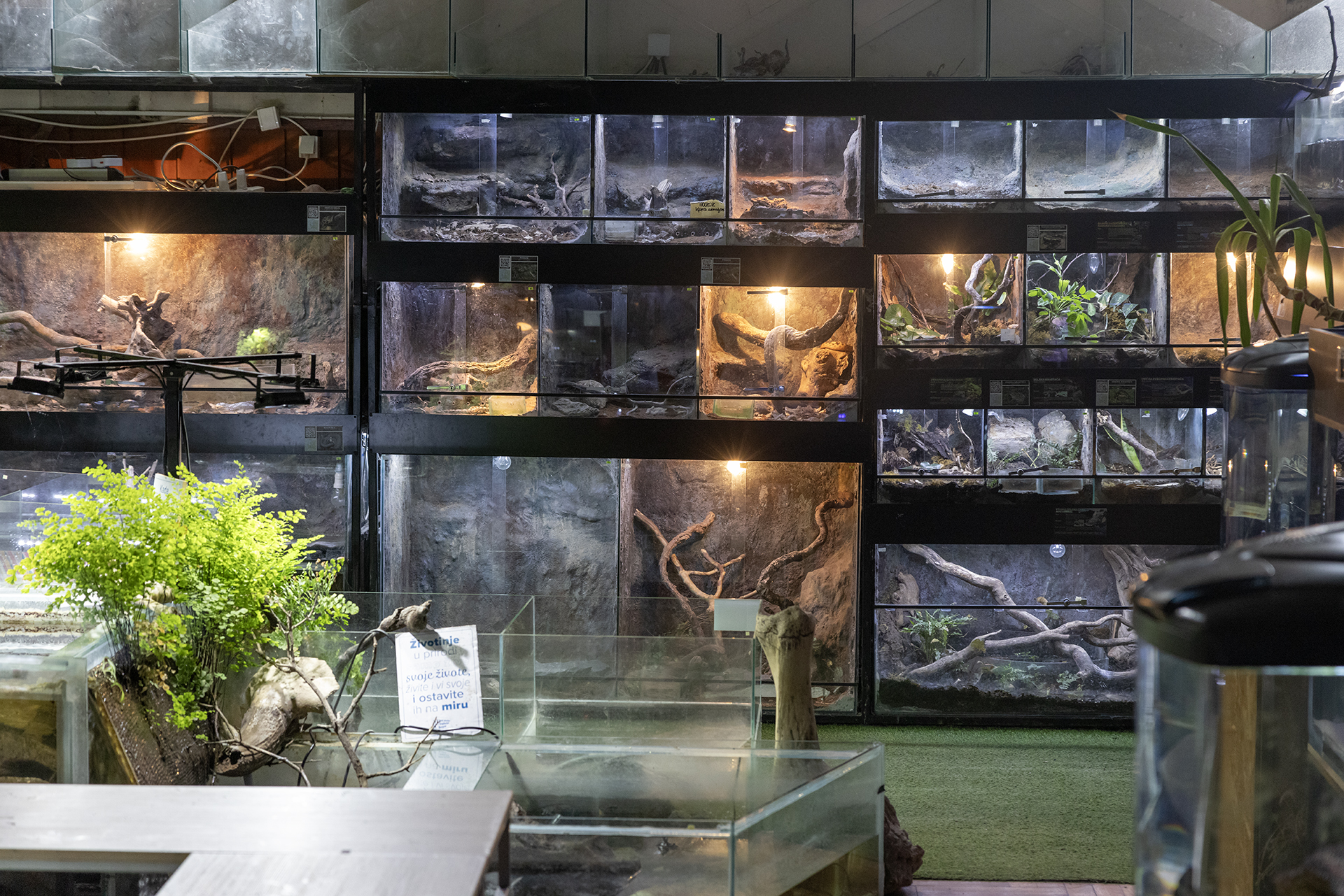 Beogradski akvarijum i tropikarijum Foto N1 Marina Pupavac (3).jpg