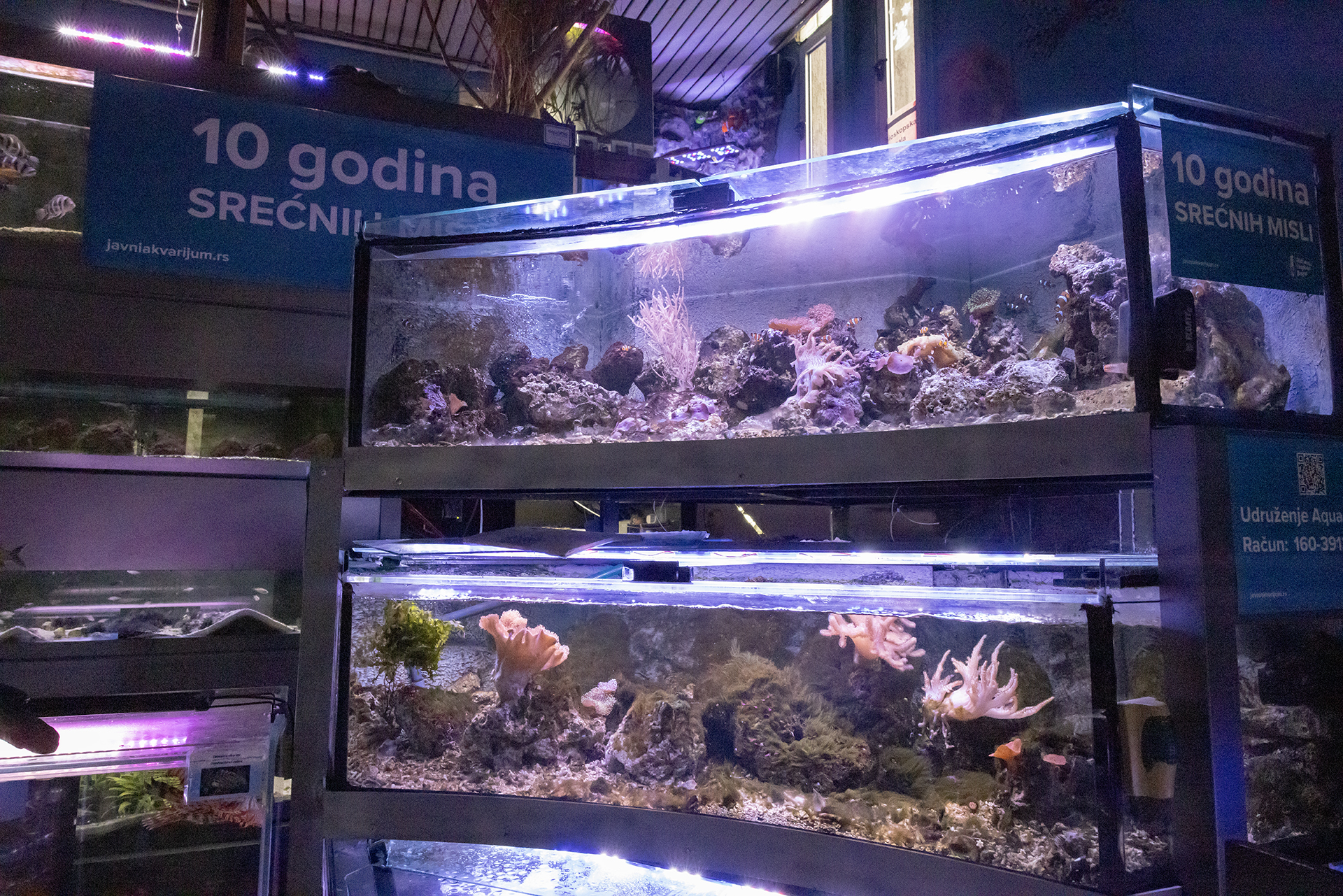 Beogradski akvarijum i tropikarijum Foto N1 Marina Pupavac (2).jpg