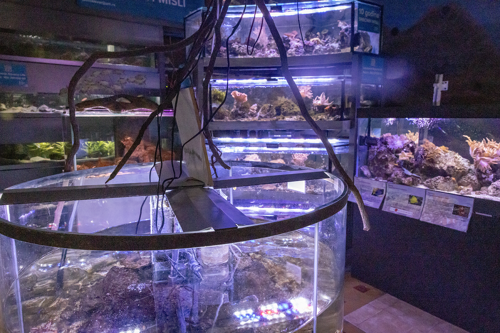 Beogradski akvarijum i tropikarijum Foto N1 Marina Pupavac (1).jpg