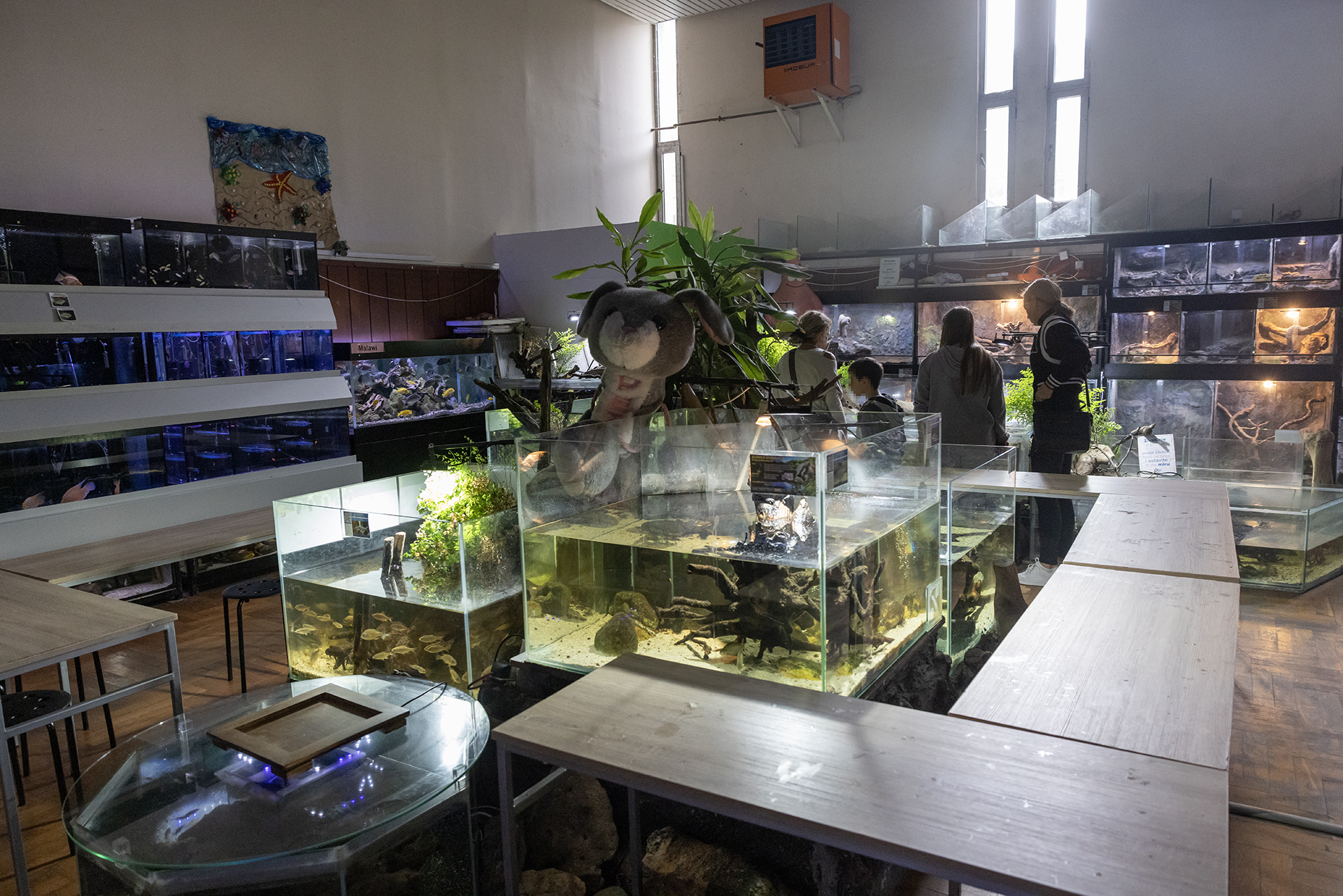 Beogradski akvarijum i tropikarijum Foto N1 Marina Pupavac (4).jpg