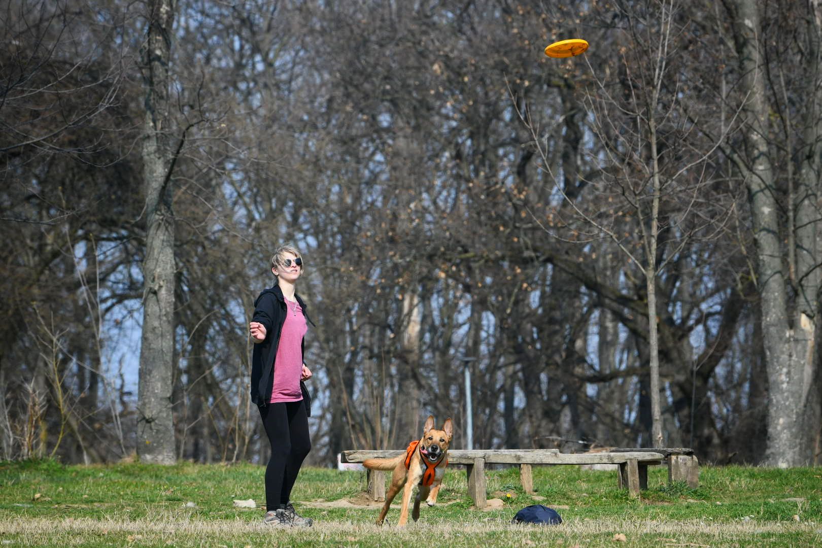 Beograd 05.03.2026. Proleće, lepo vreme, Košutnjak, pas, šetnja, igra, fičer, pokrivalica, ilustracija Foto: Filip Krainčanić/Nova.rs