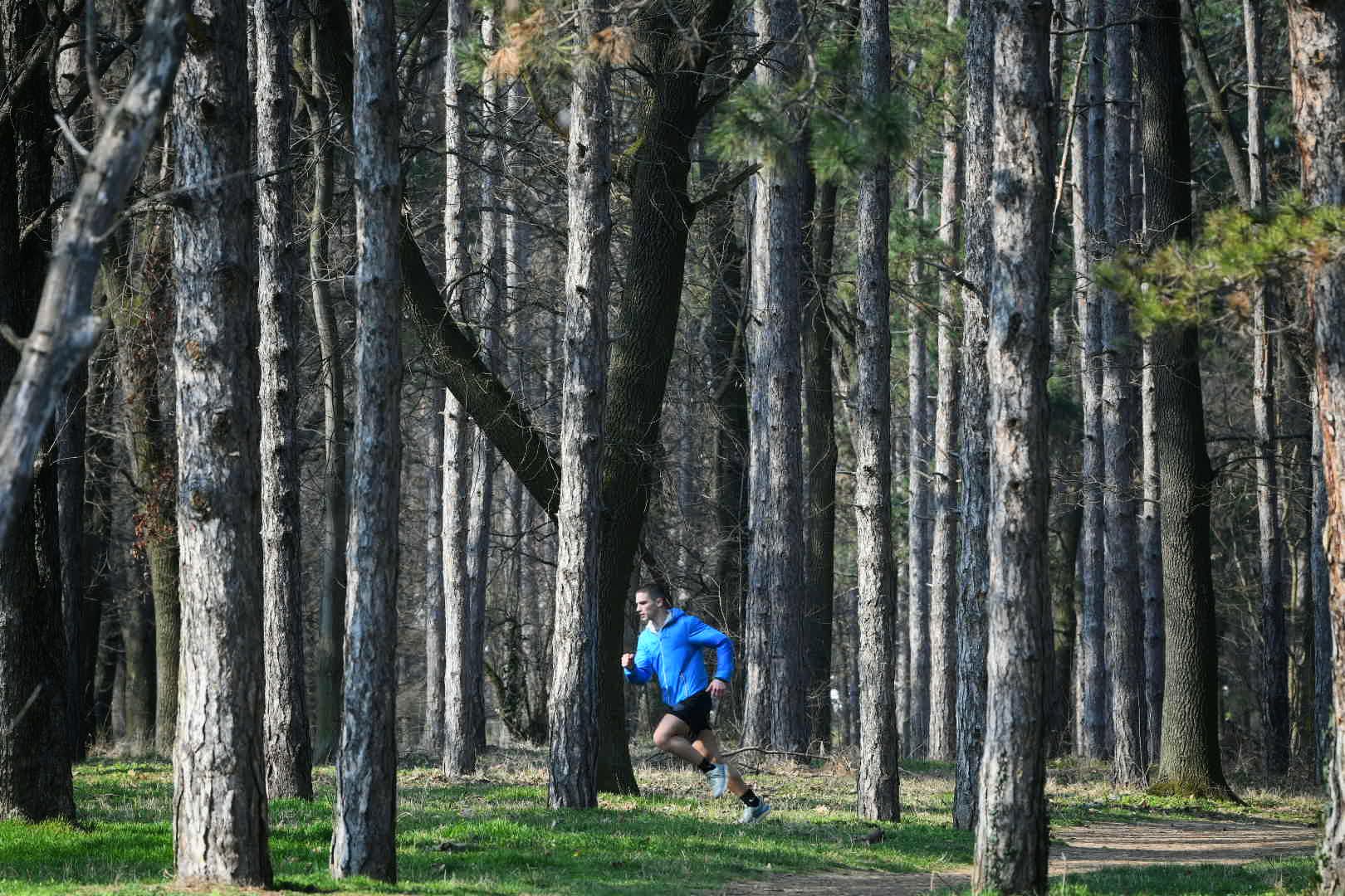 Beograd 05.03.2026. Proleće, lepo vreme, Košutnjak, trčanje, sport, rekreacija, fičer, pokrivalica, ilustracija Foto: Filip Krainčanić/Nova.rs