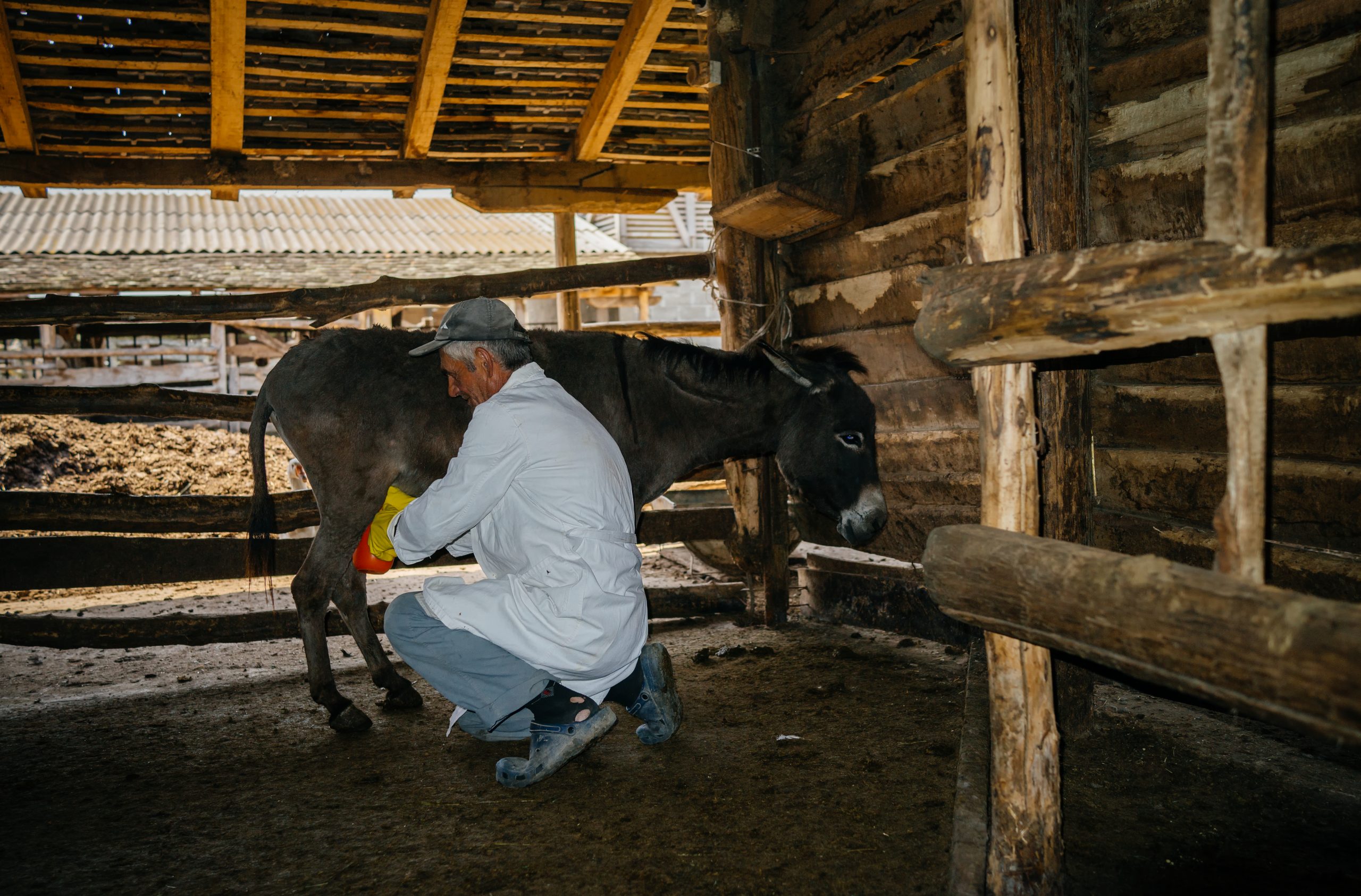 zasavica  shutterstock_446146237-scaled.jpg