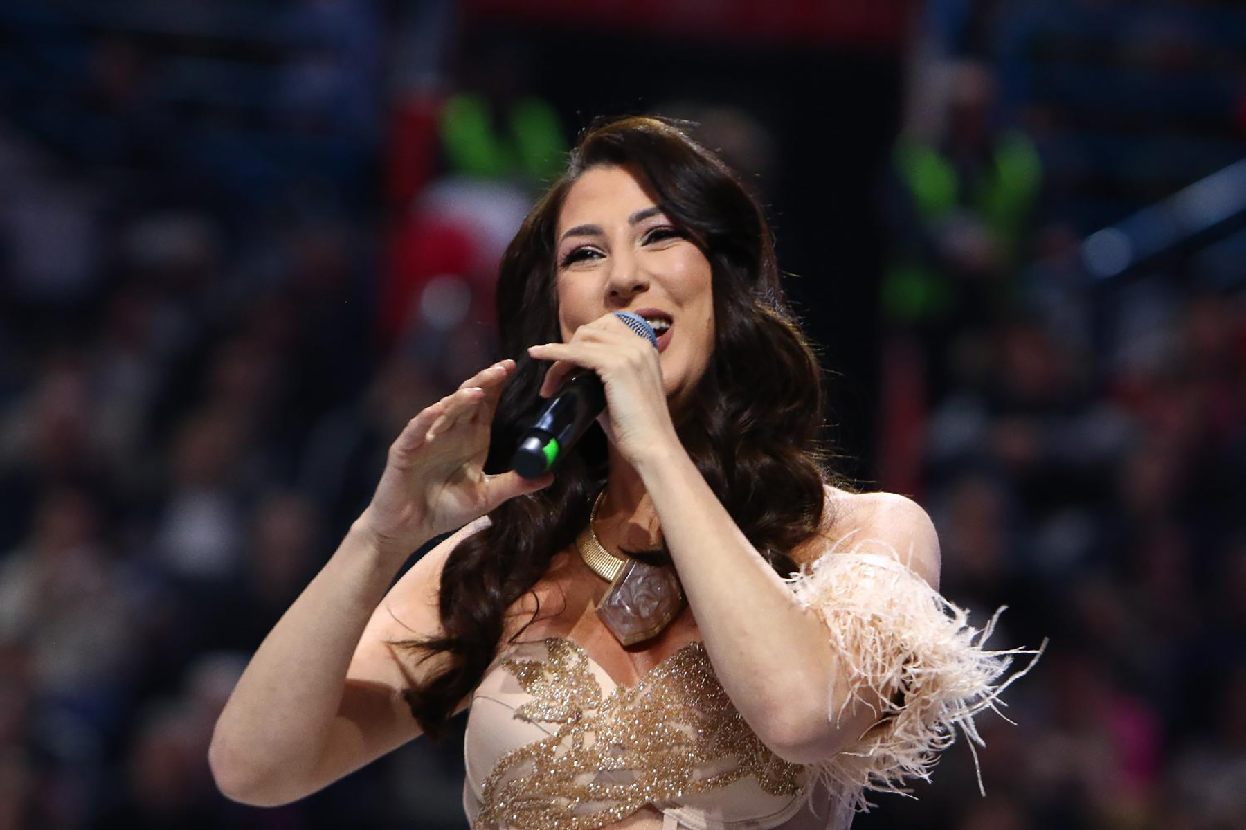 Nadežda Biljić Miting Srpske napredne stranke pod nazivom Srbija - naša porodica Foto FoNet Milica Vučković (7).jpg