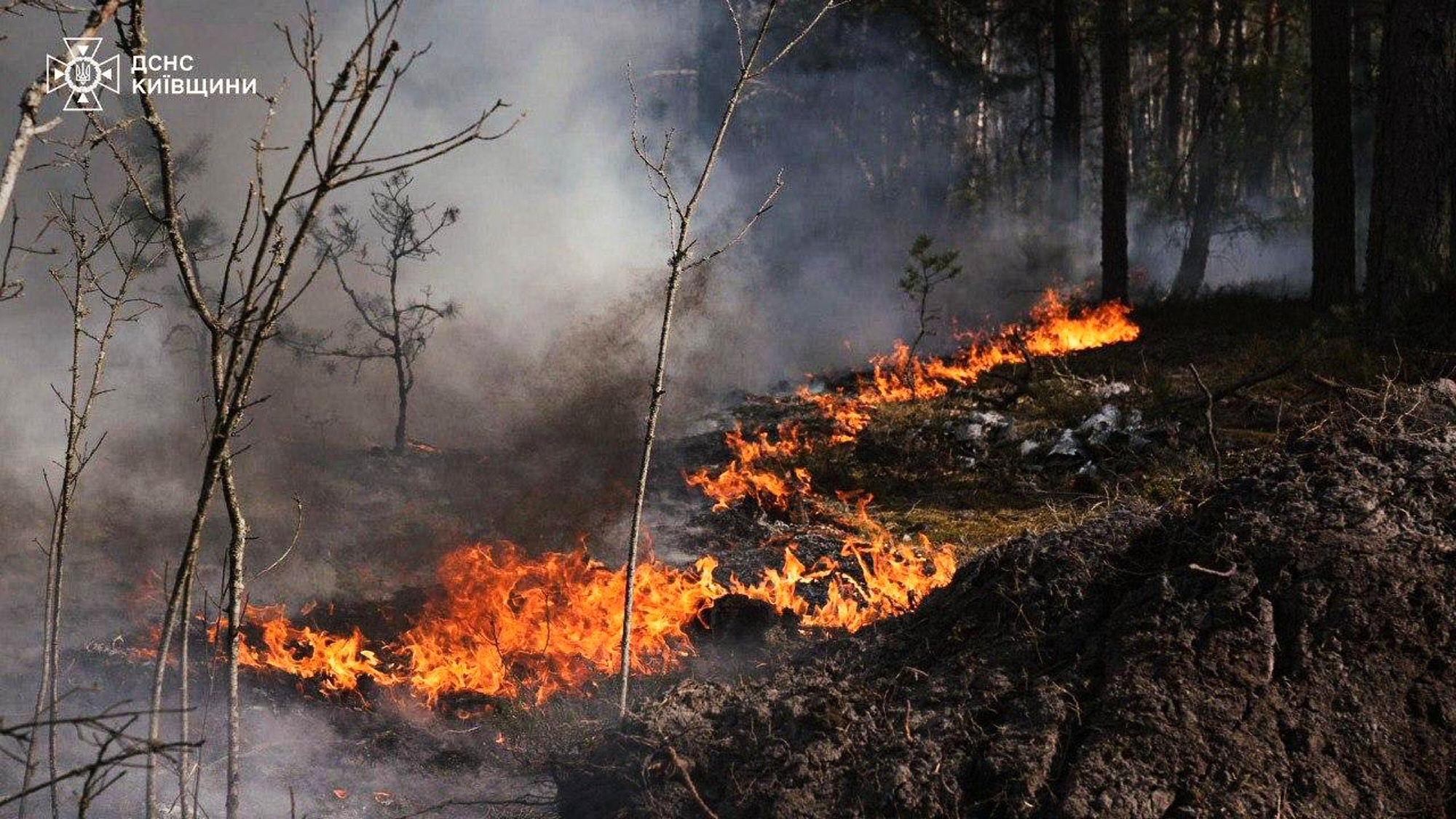 Ukrajina Rusija šumski požar gori u zoni isključenja oko nuklearne elektrane Černobil (1).jpg